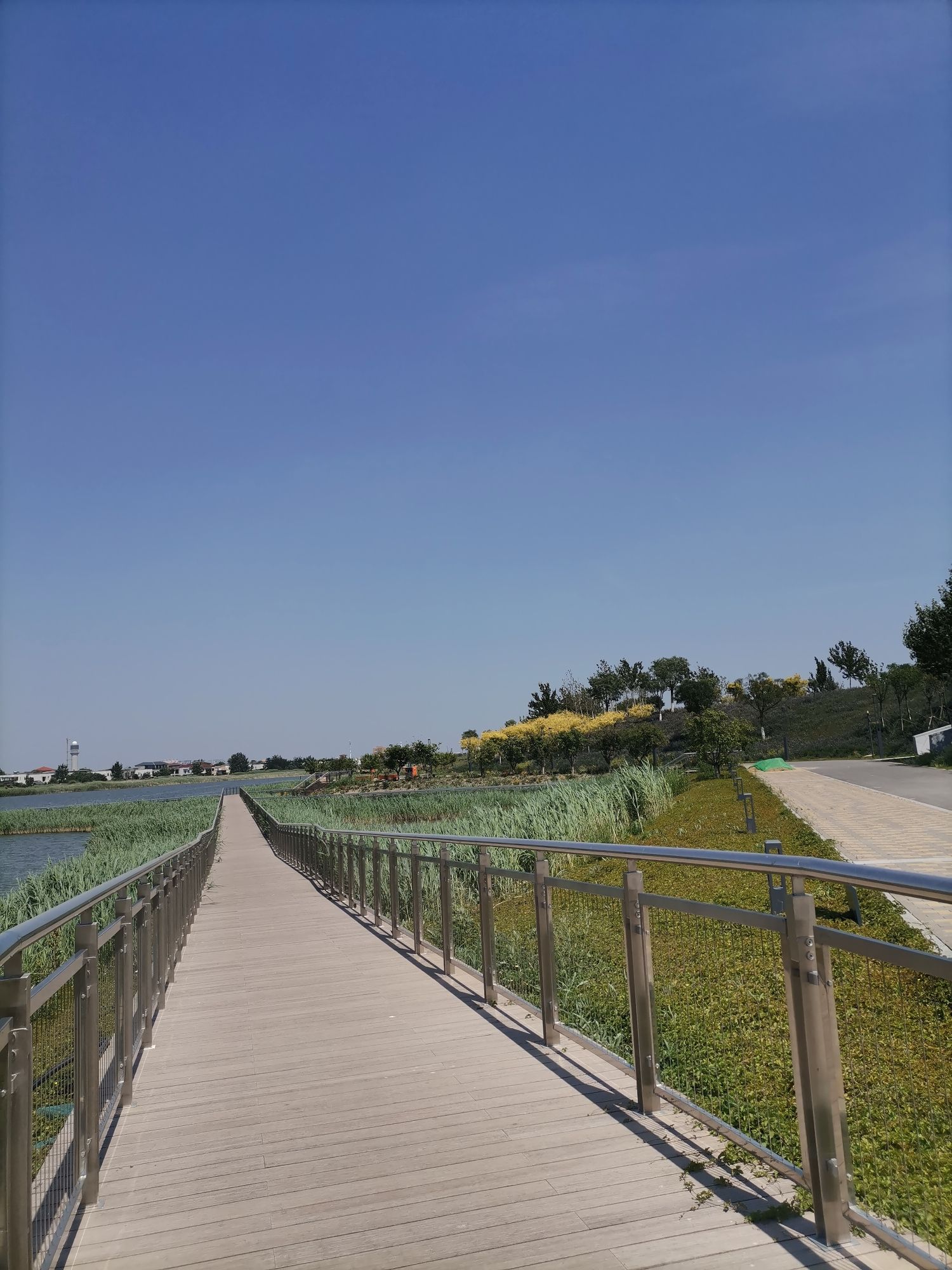 蓟运河故道公园旅行图片
