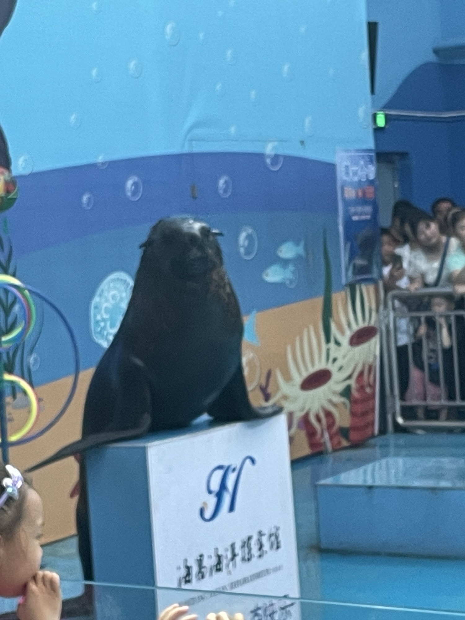 临汾海昌海洋探索馆旅行图片