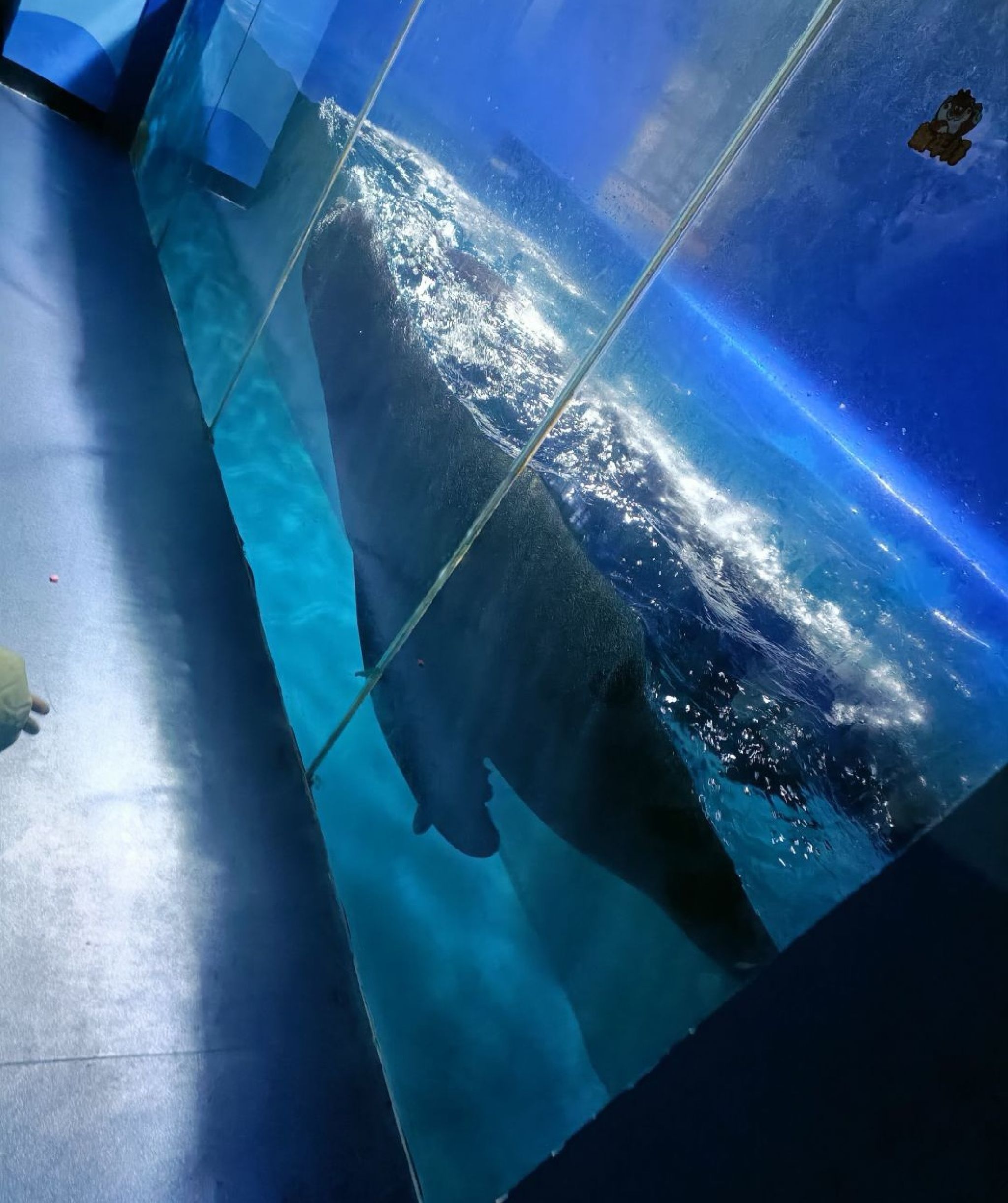 临汾海昌海洋探索馆旅行图片