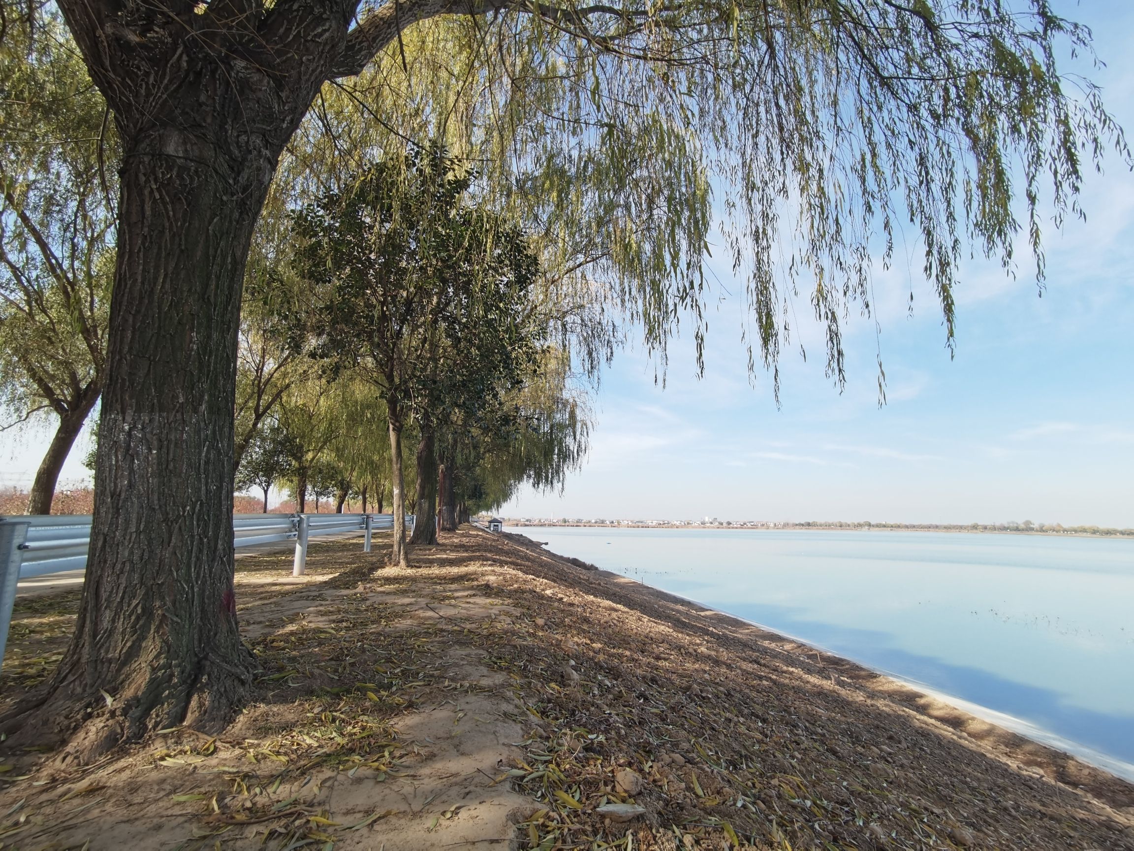 渊子湖景区旅行图片