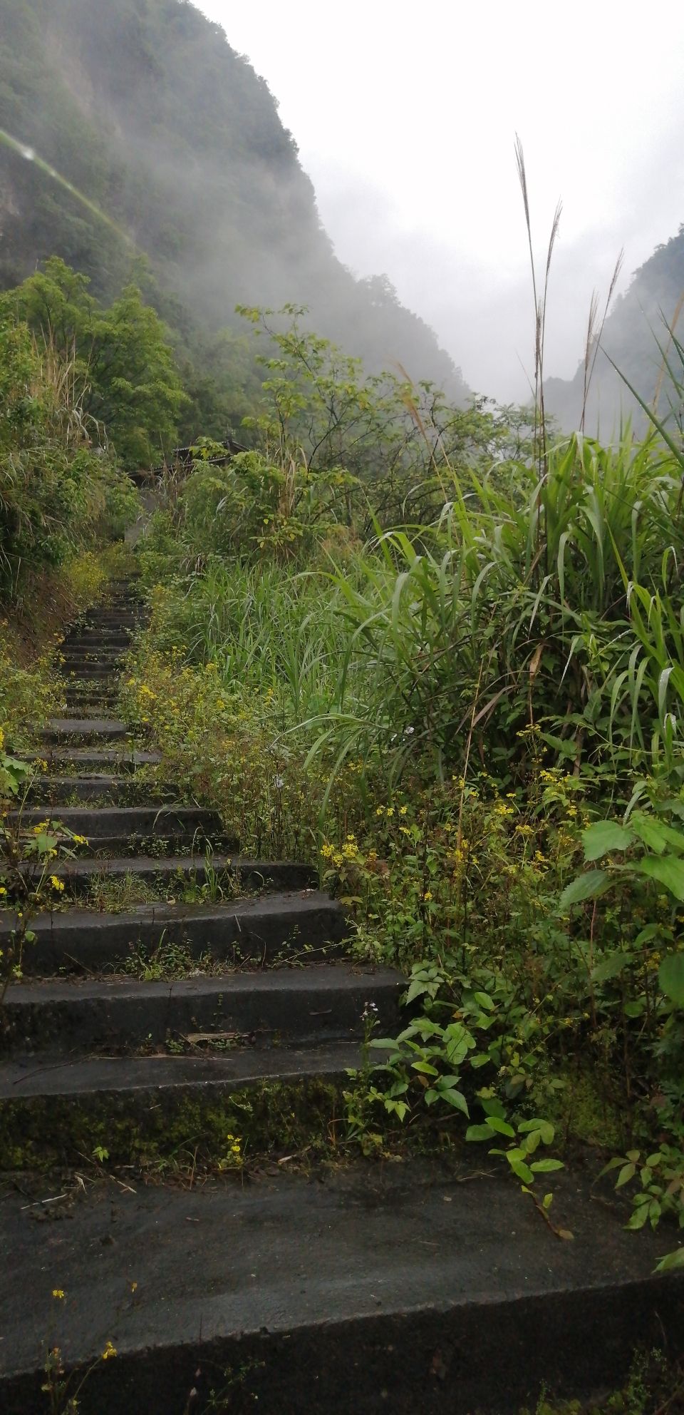 五岔沟峡谷风景区