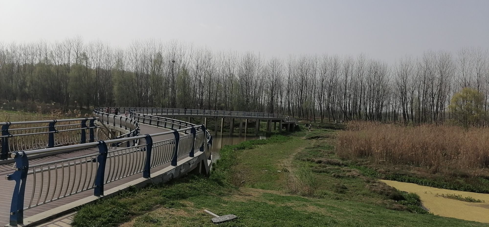 芦花荡湿地公园