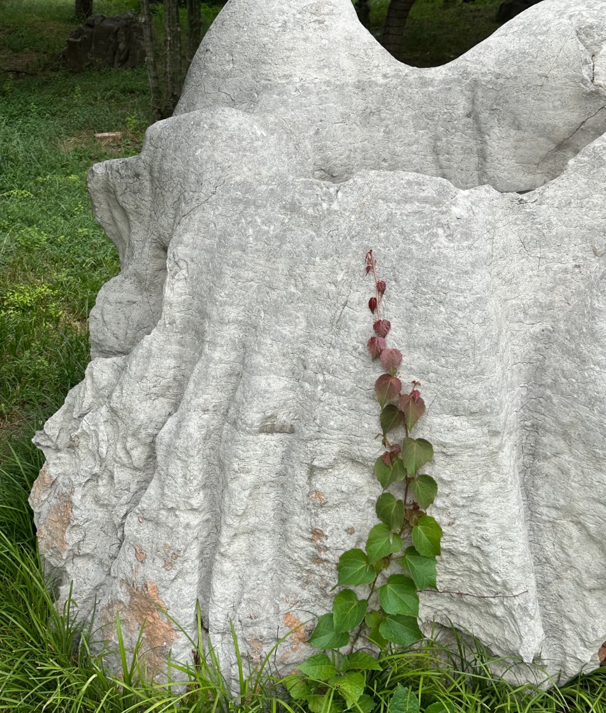 青州古城