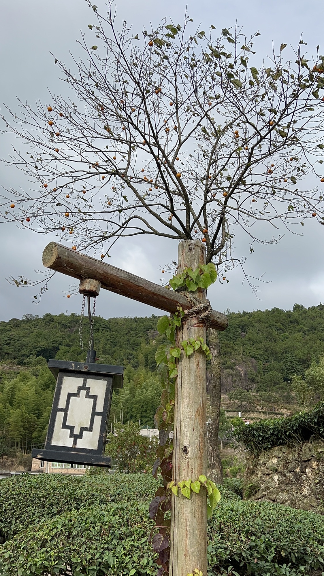 军营村