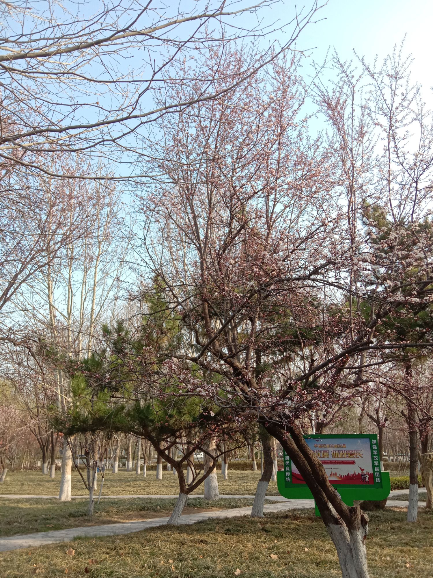 平度市植物园旅行图片