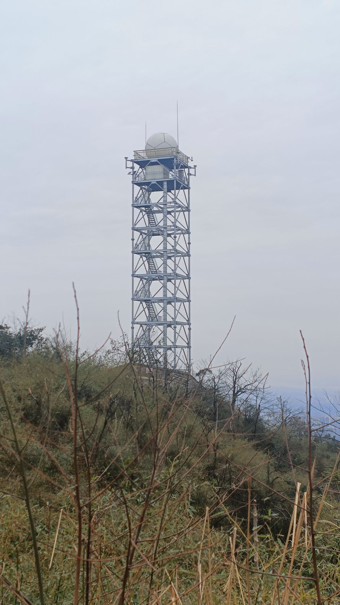 谷山森林公园旅行图片