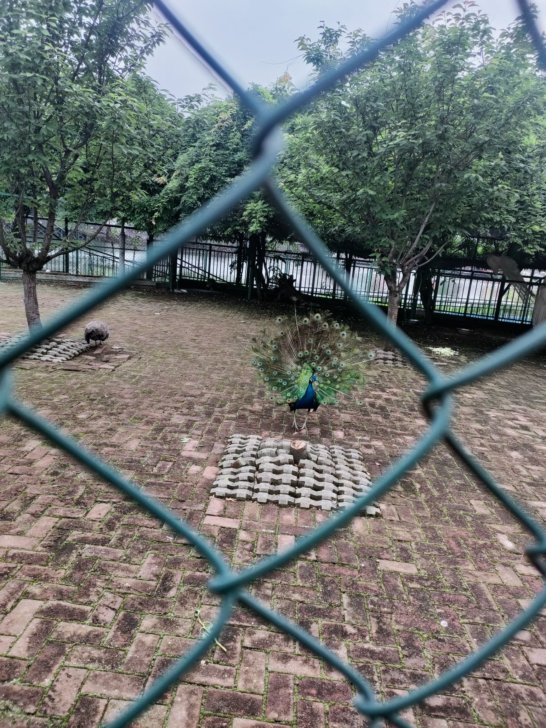 长沙柏乐园