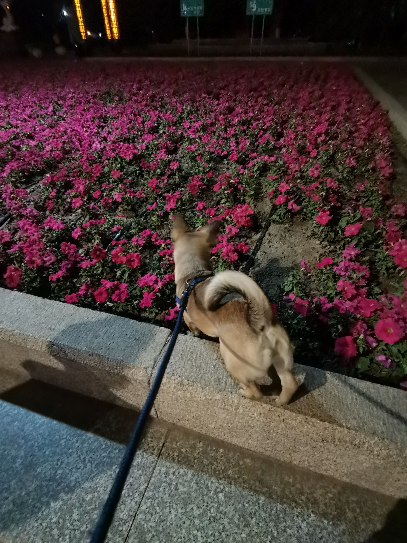 乌达区人民公园