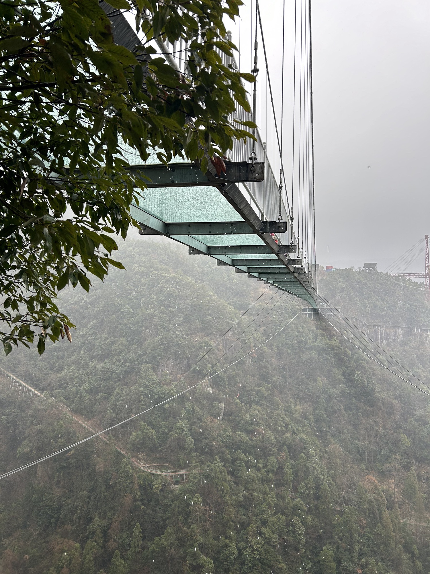灵江源森林公园旅行图片