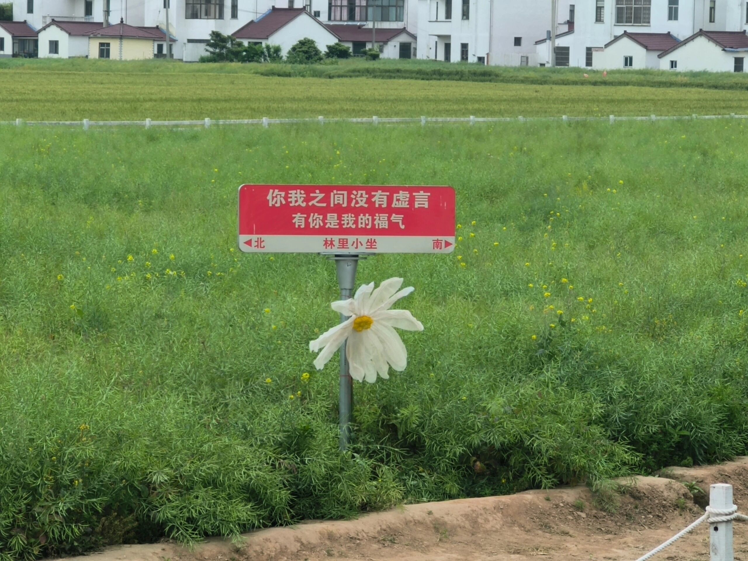 常阴沙生态农业旅游区