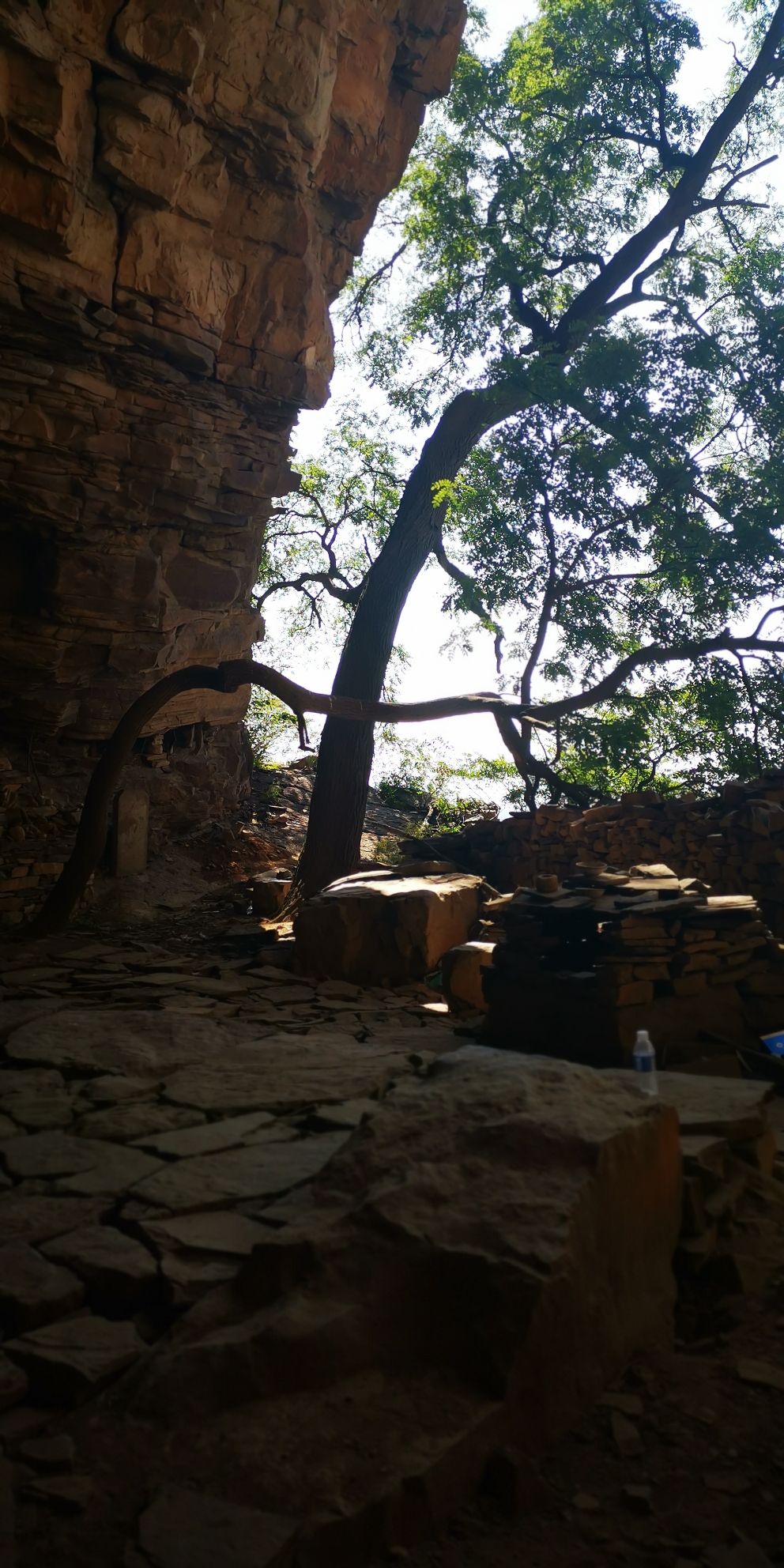 金华寺森林公园旅行图片