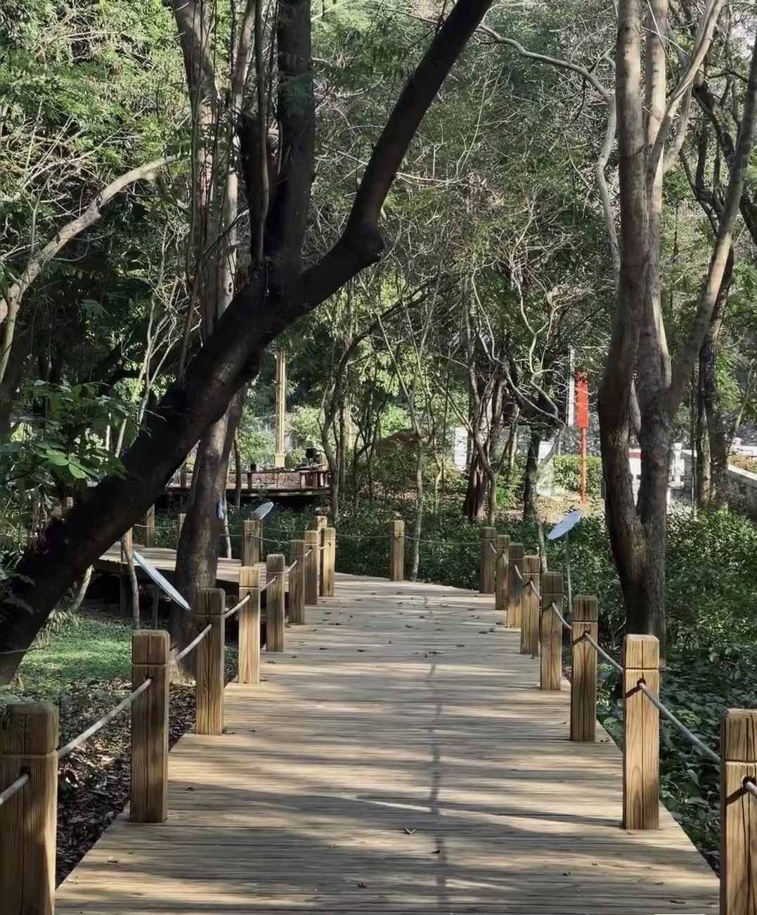 广东树木公园