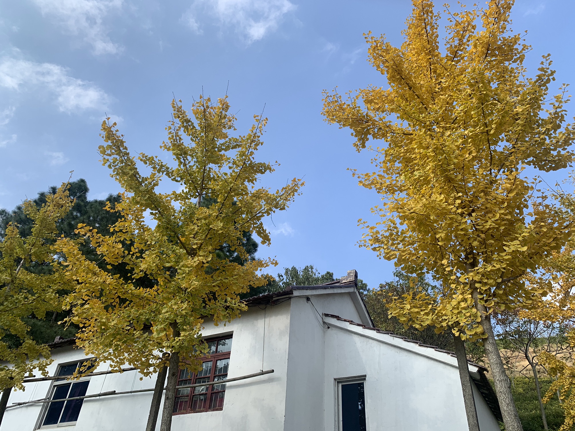 城山沟景区旅行图片