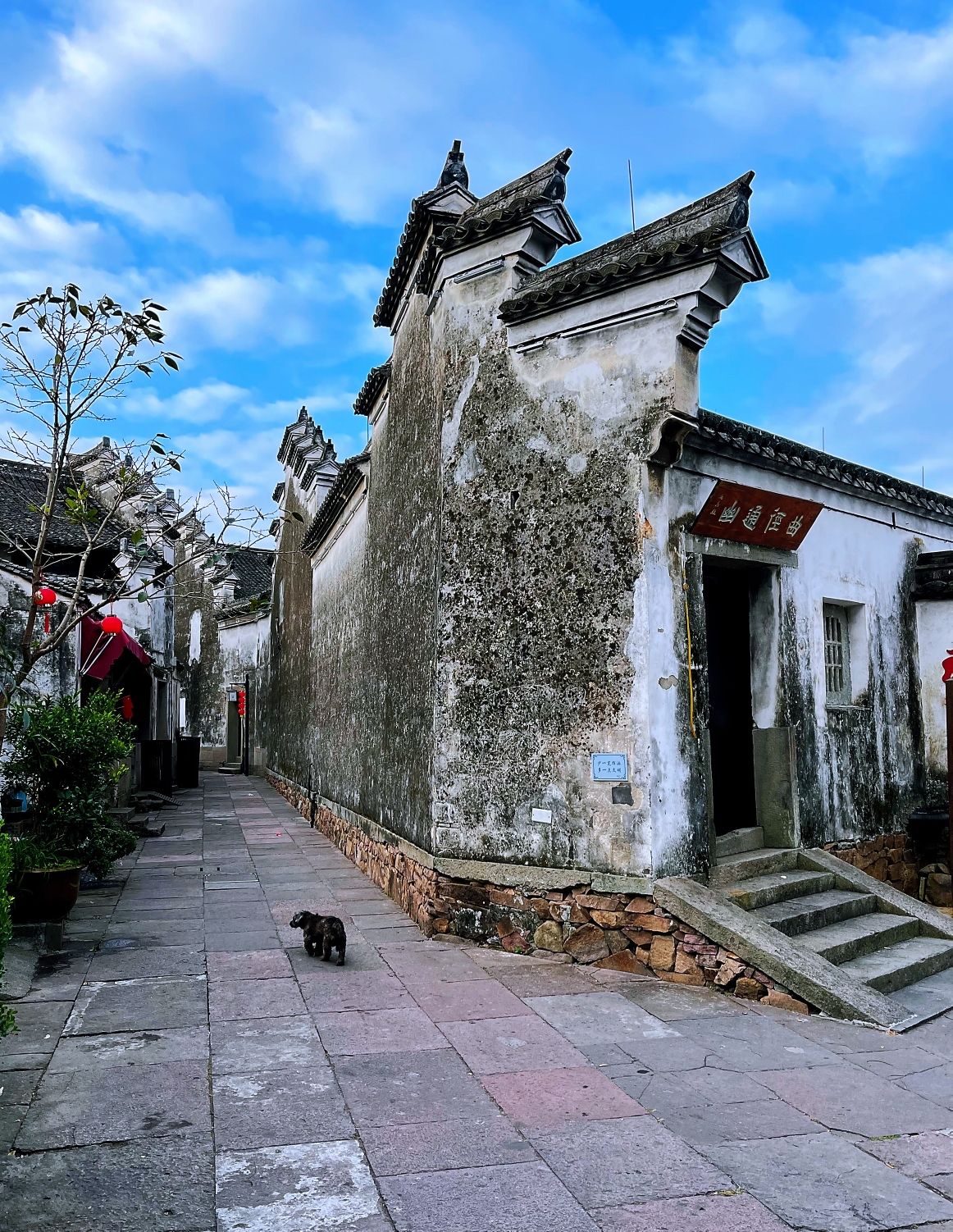 鸣鹤古镇旅行图片
