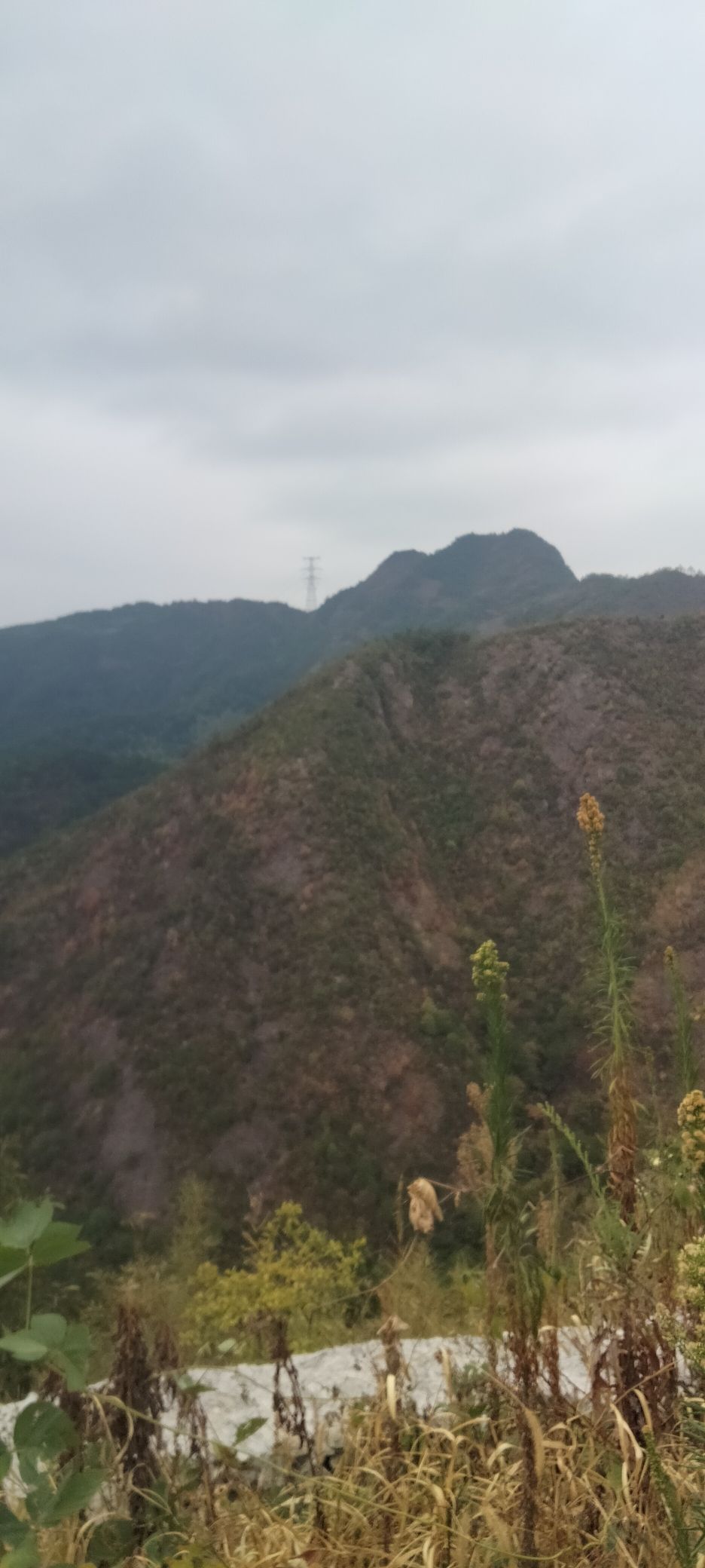 真武山风景区
