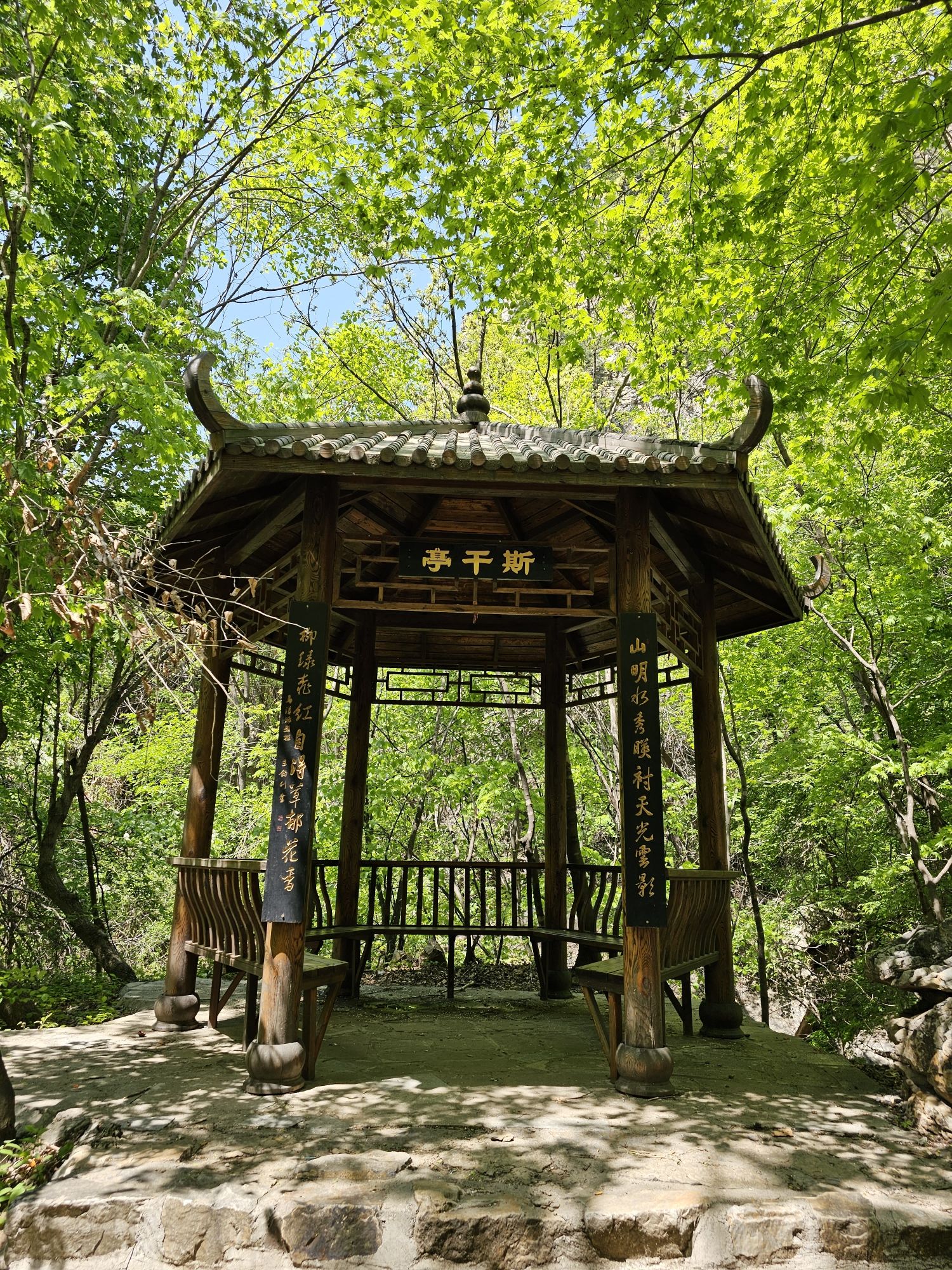 核伙沟森林公园旅行图片
