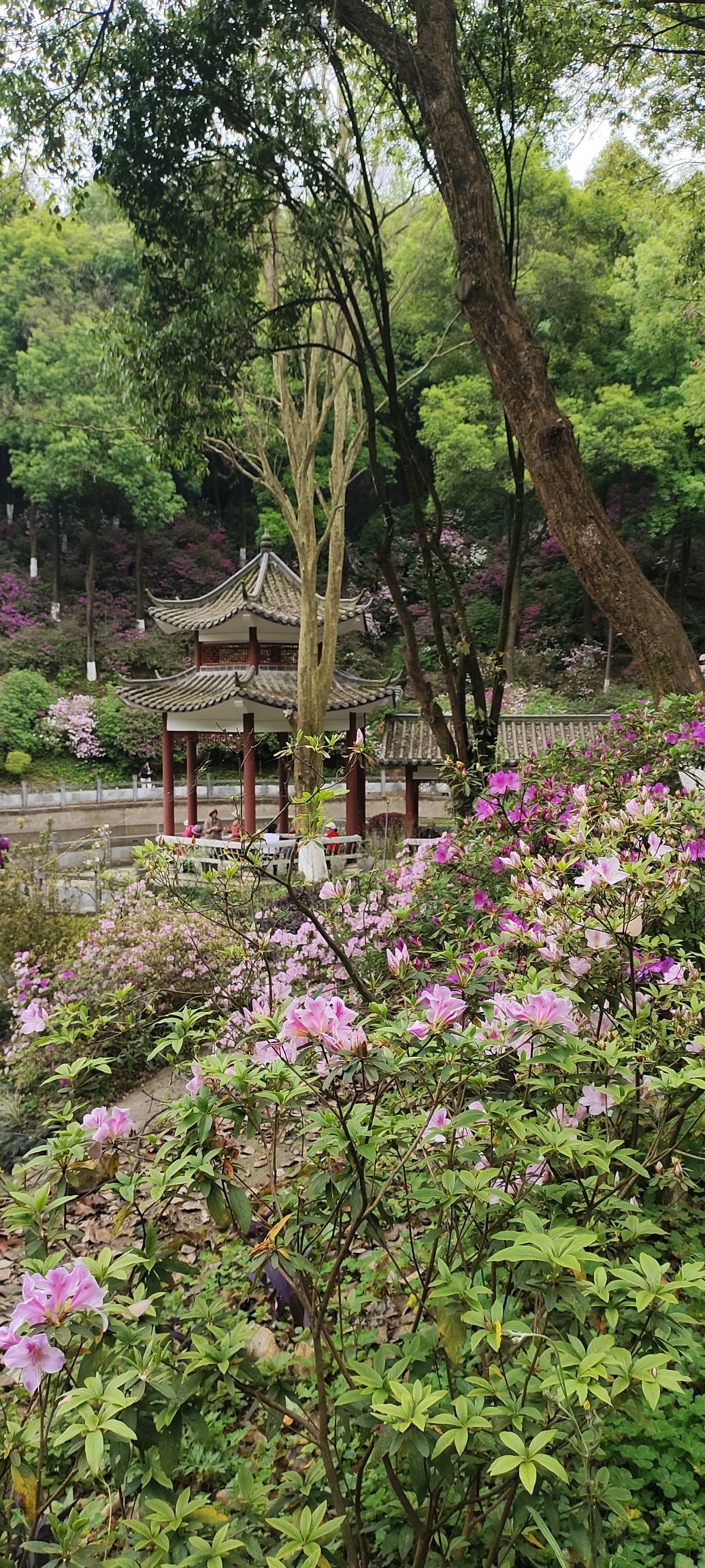 桂林植物园