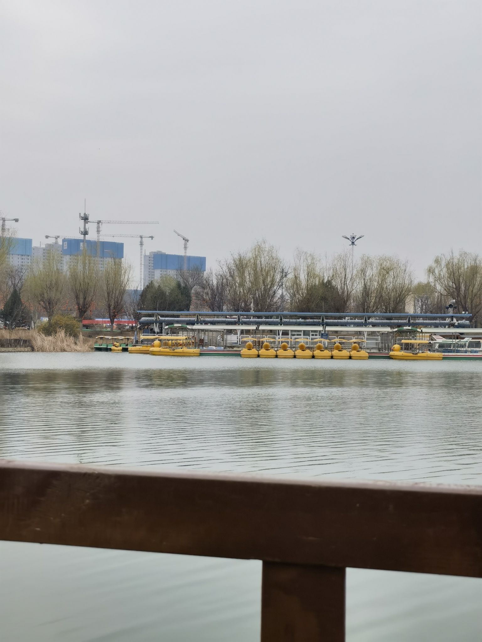 青龙湖公园