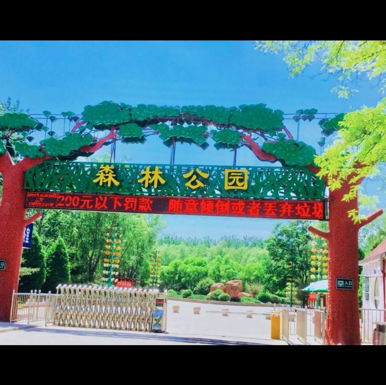 杏花岭东山森林公园