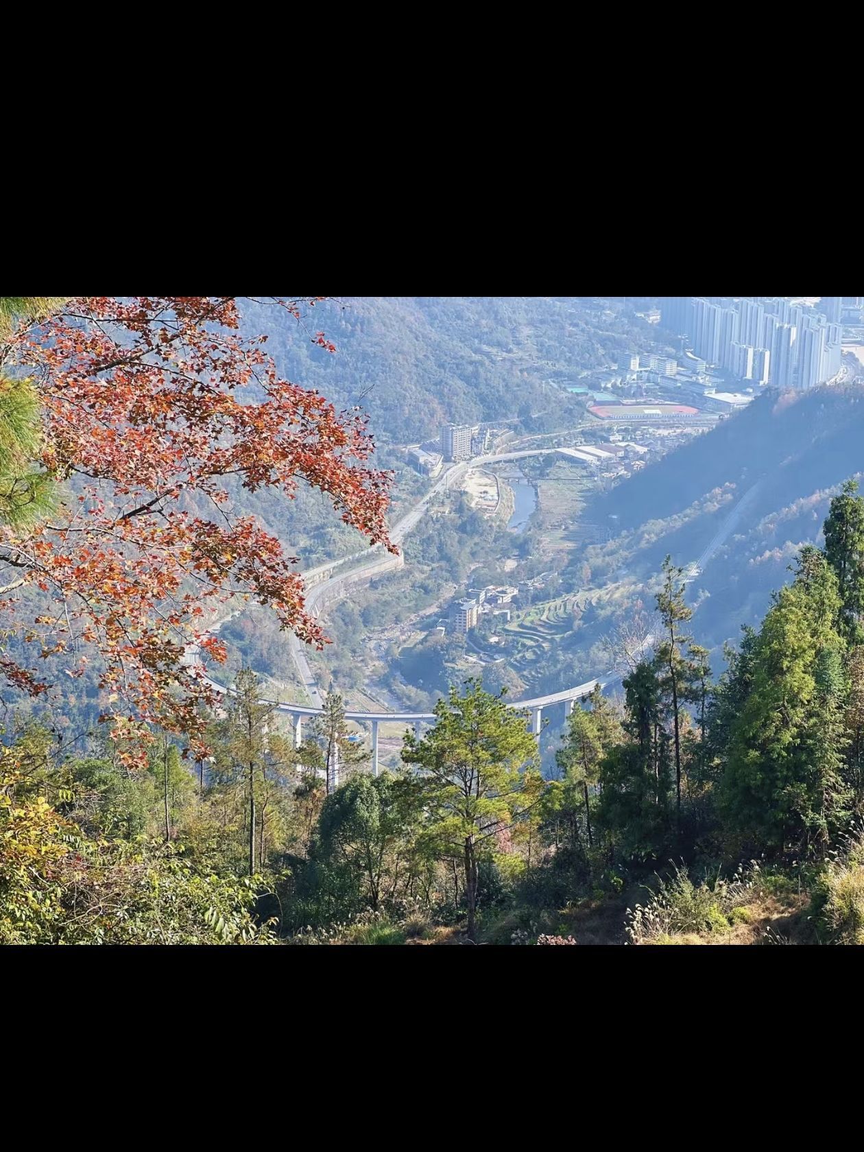 大会岭红枫古道