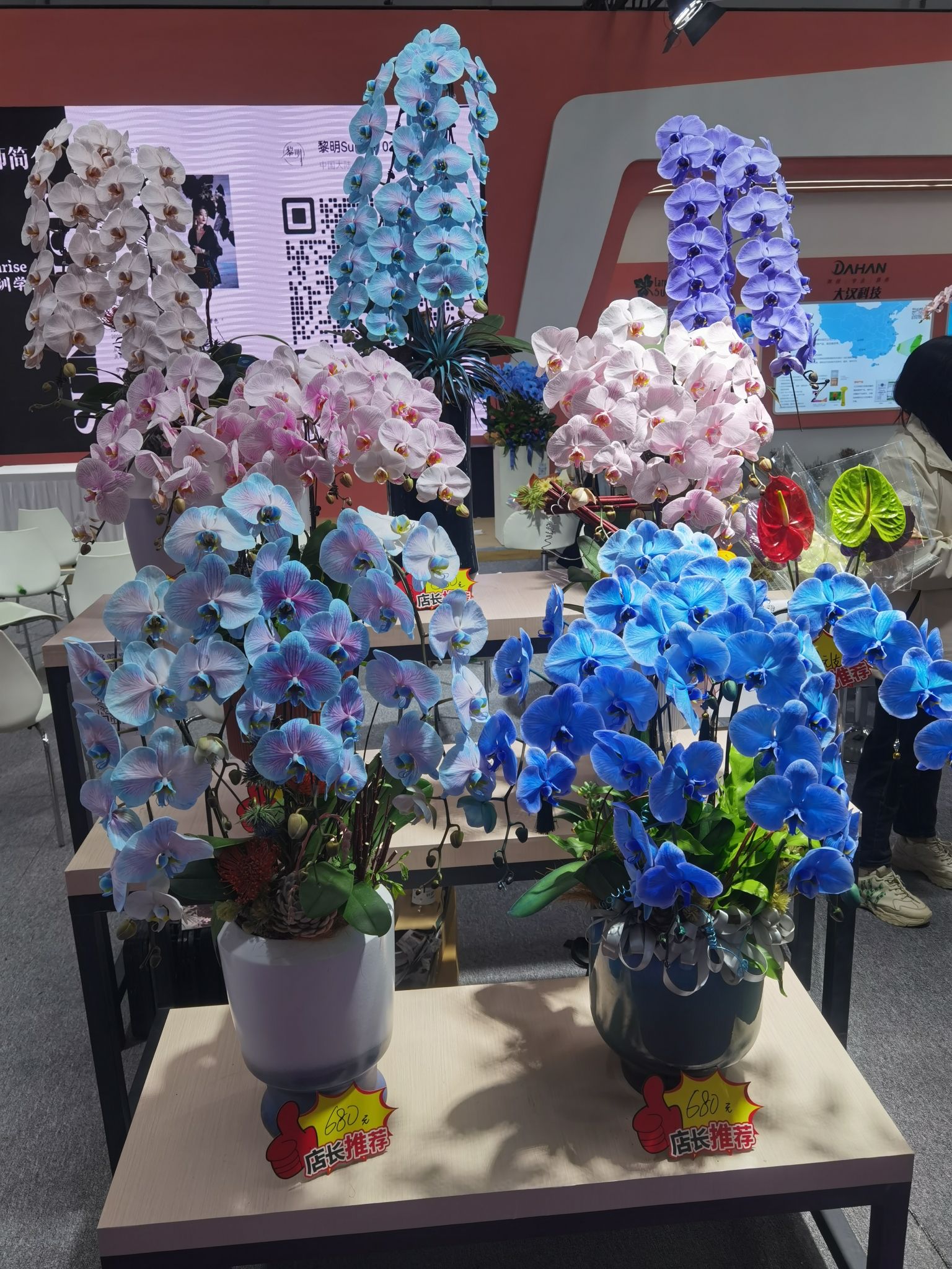 中国花卉博览园花博会旅行图片