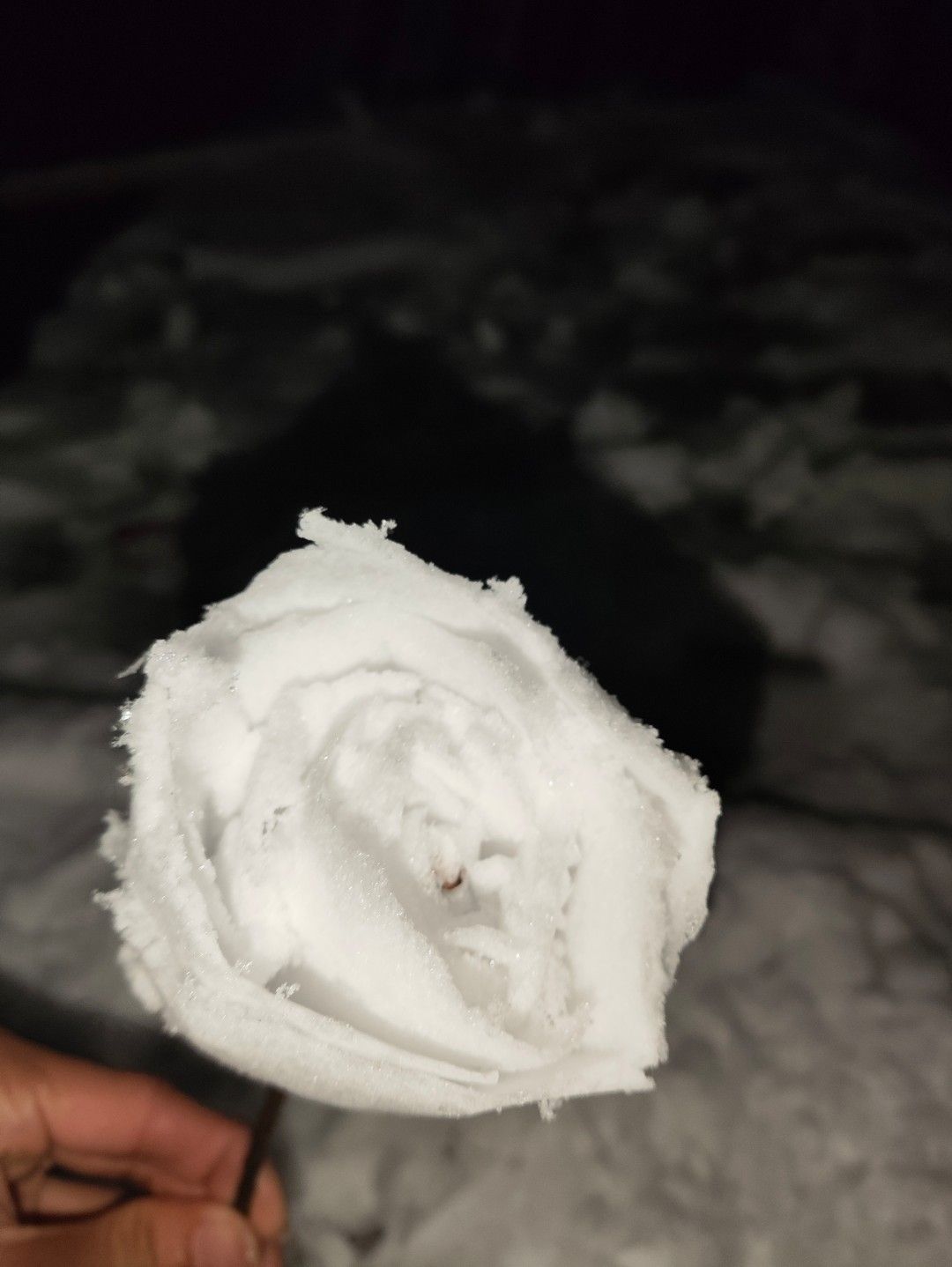 南康文化广场