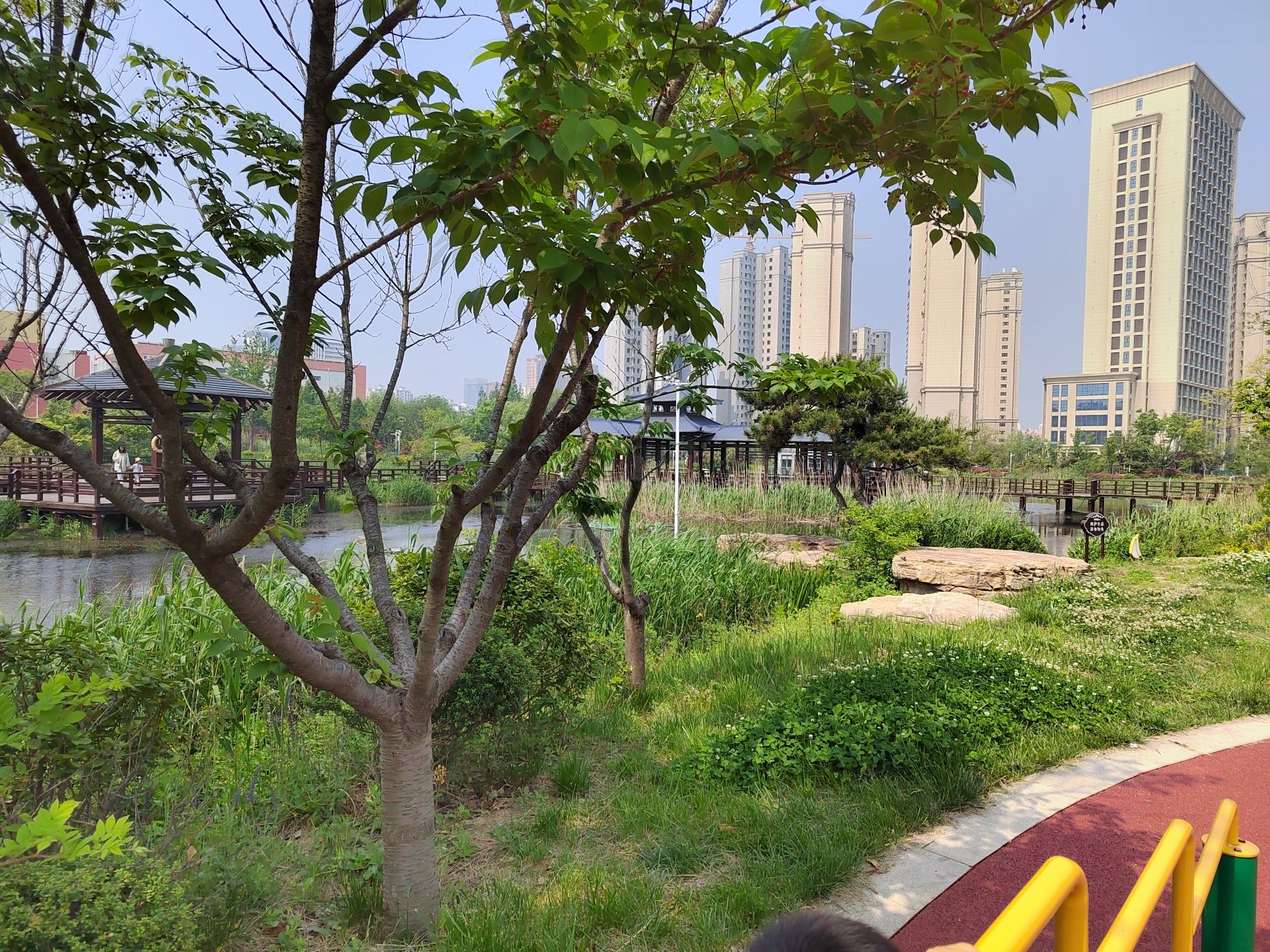 山海天湿地公园旅行图片
