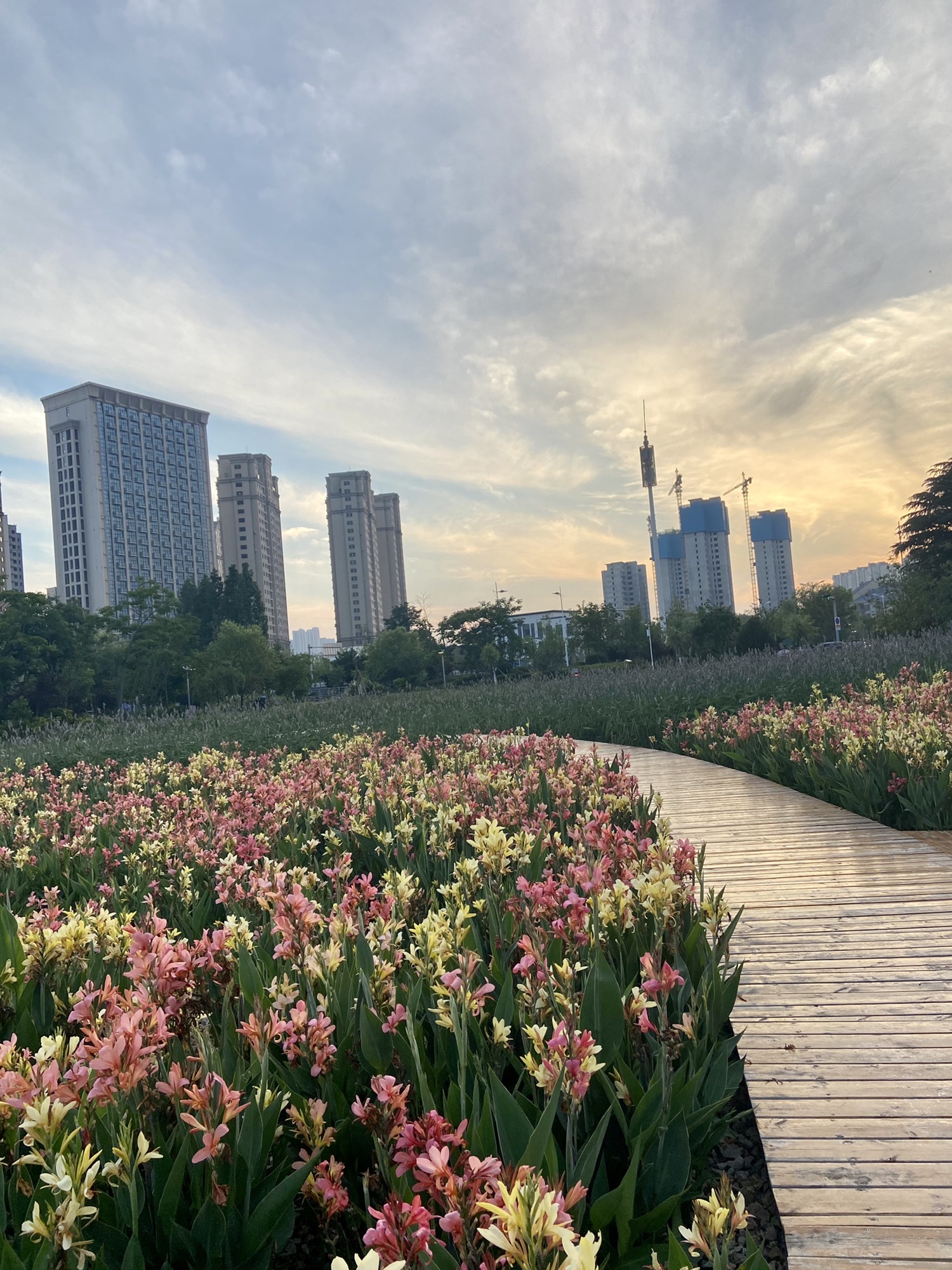山海天湿地公园旅行图片