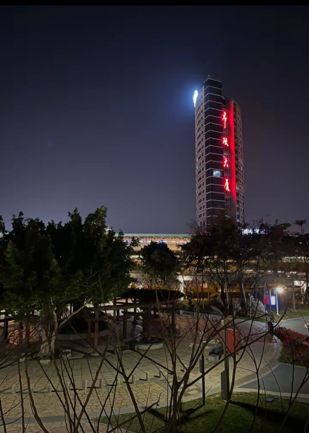 湖边公园旅行图片