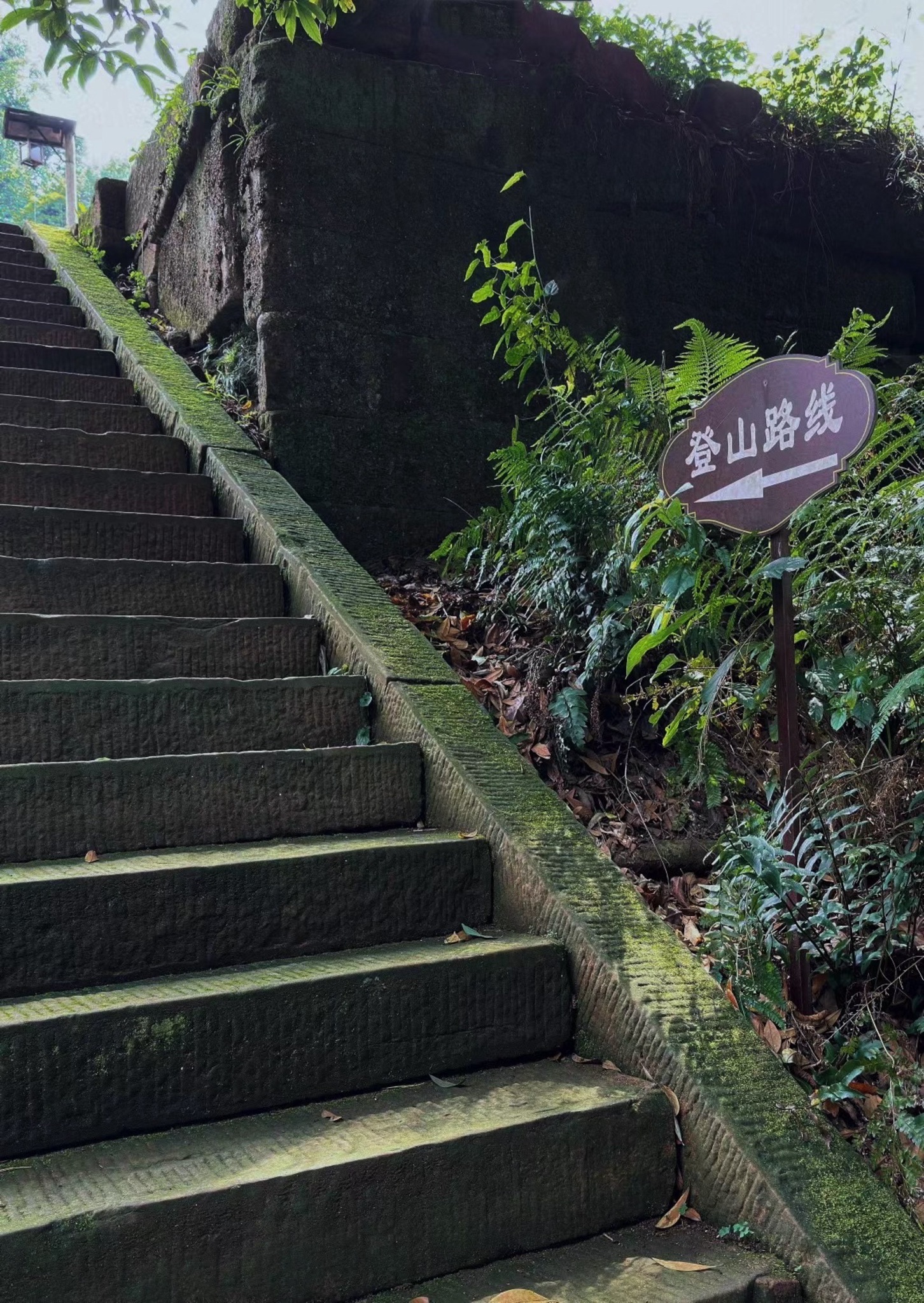 眉山市丹棱县九龙山森林公园旅行图片