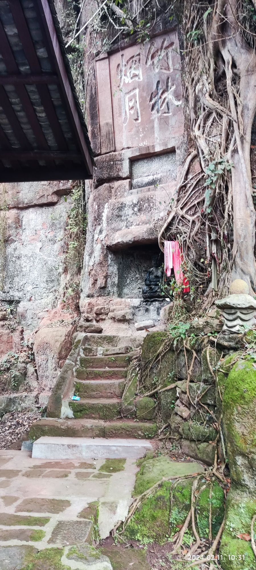 眉山市丹棱县九龙山森林公园旅行图片