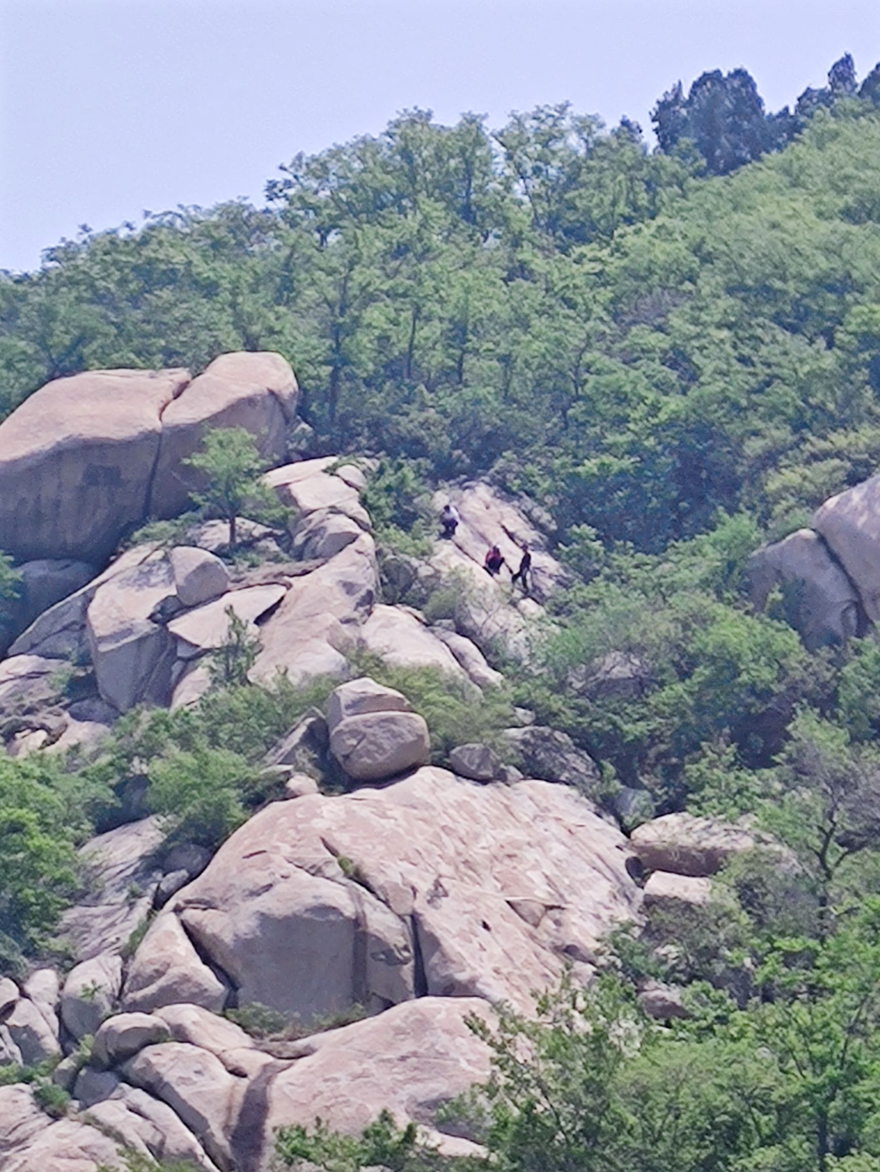 鸿山森林公园旅行图片