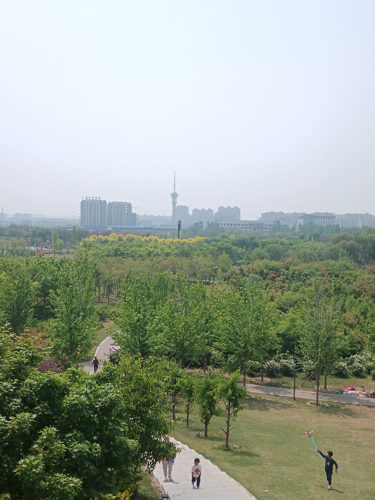 葛天公园