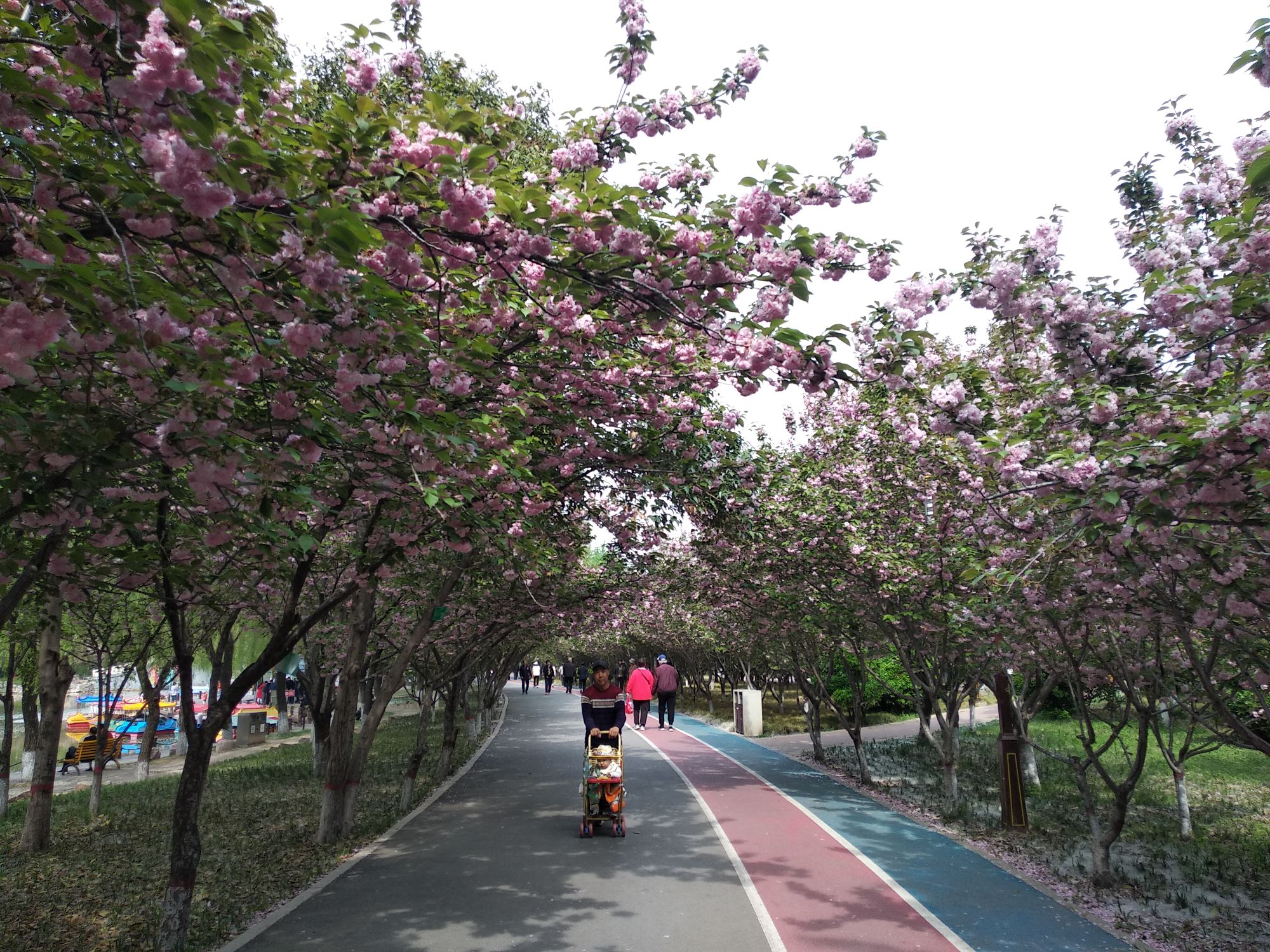 三门峡市城市风景
