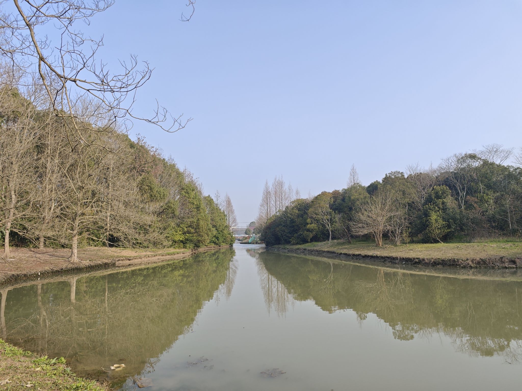 浦江森林公园