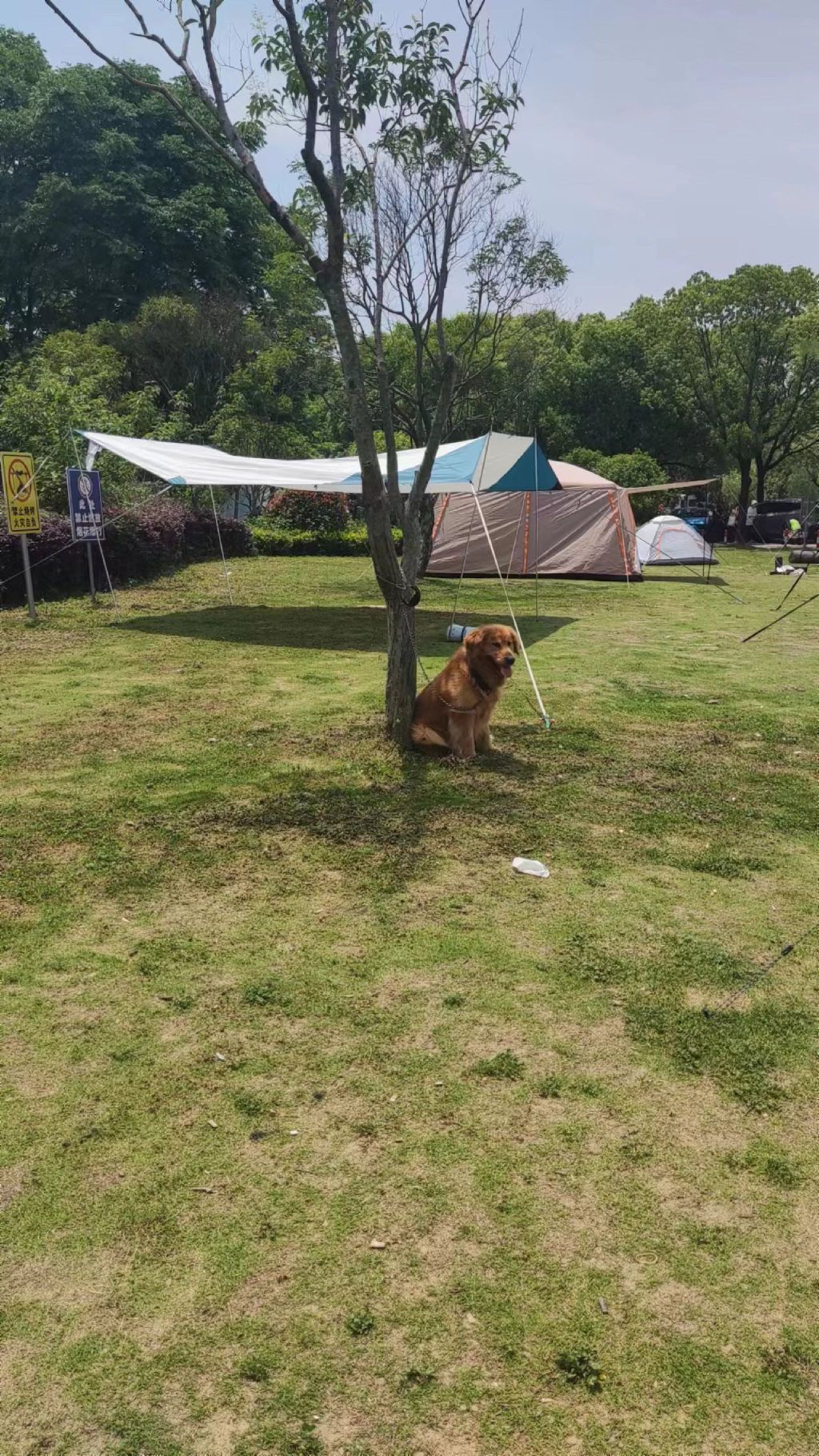 浦江森林公园旅行图片