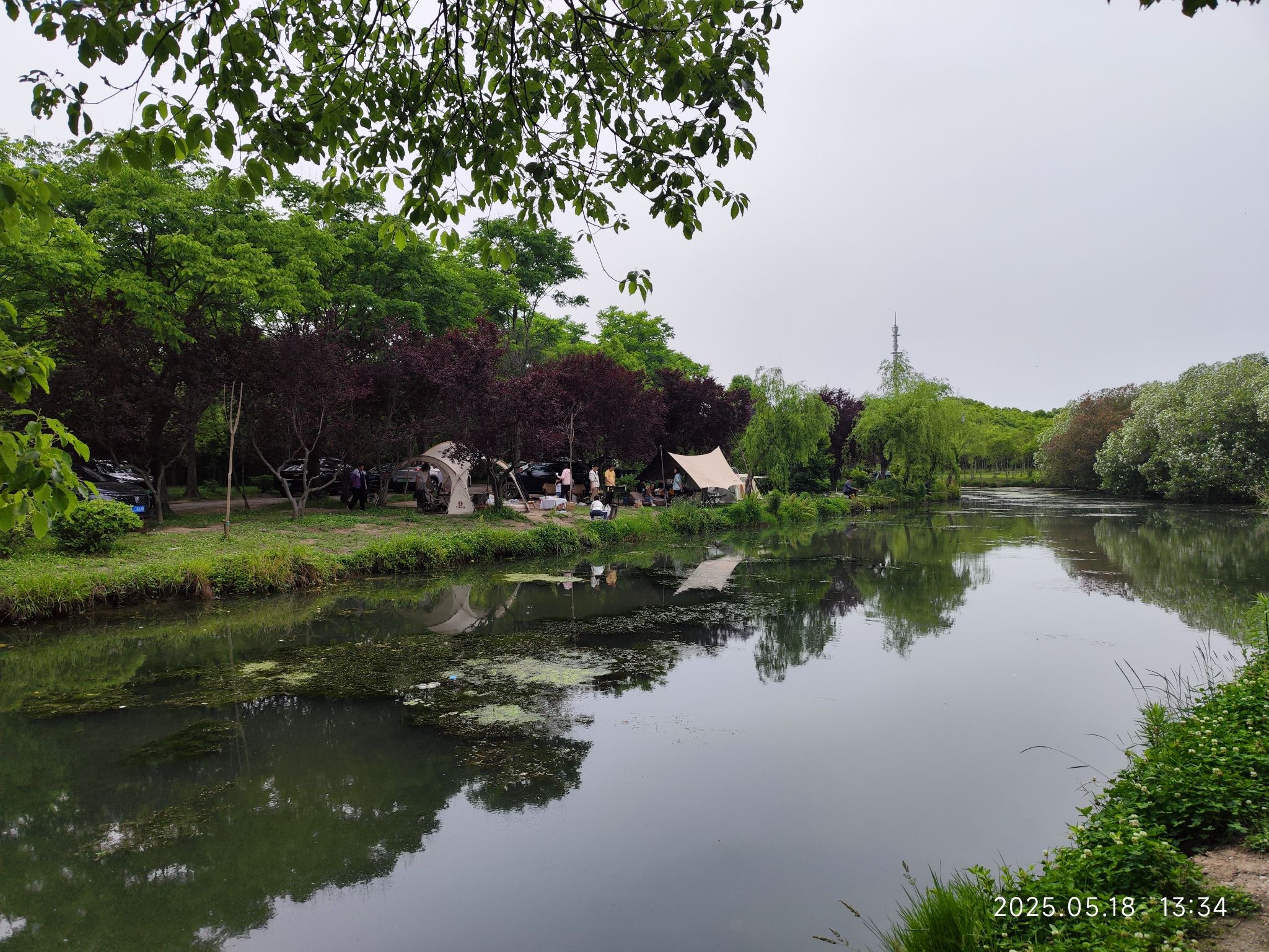 浦江森林公园旅行图片