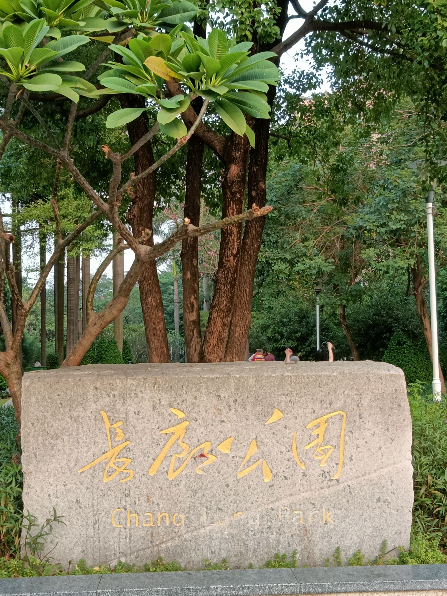 长廊公园