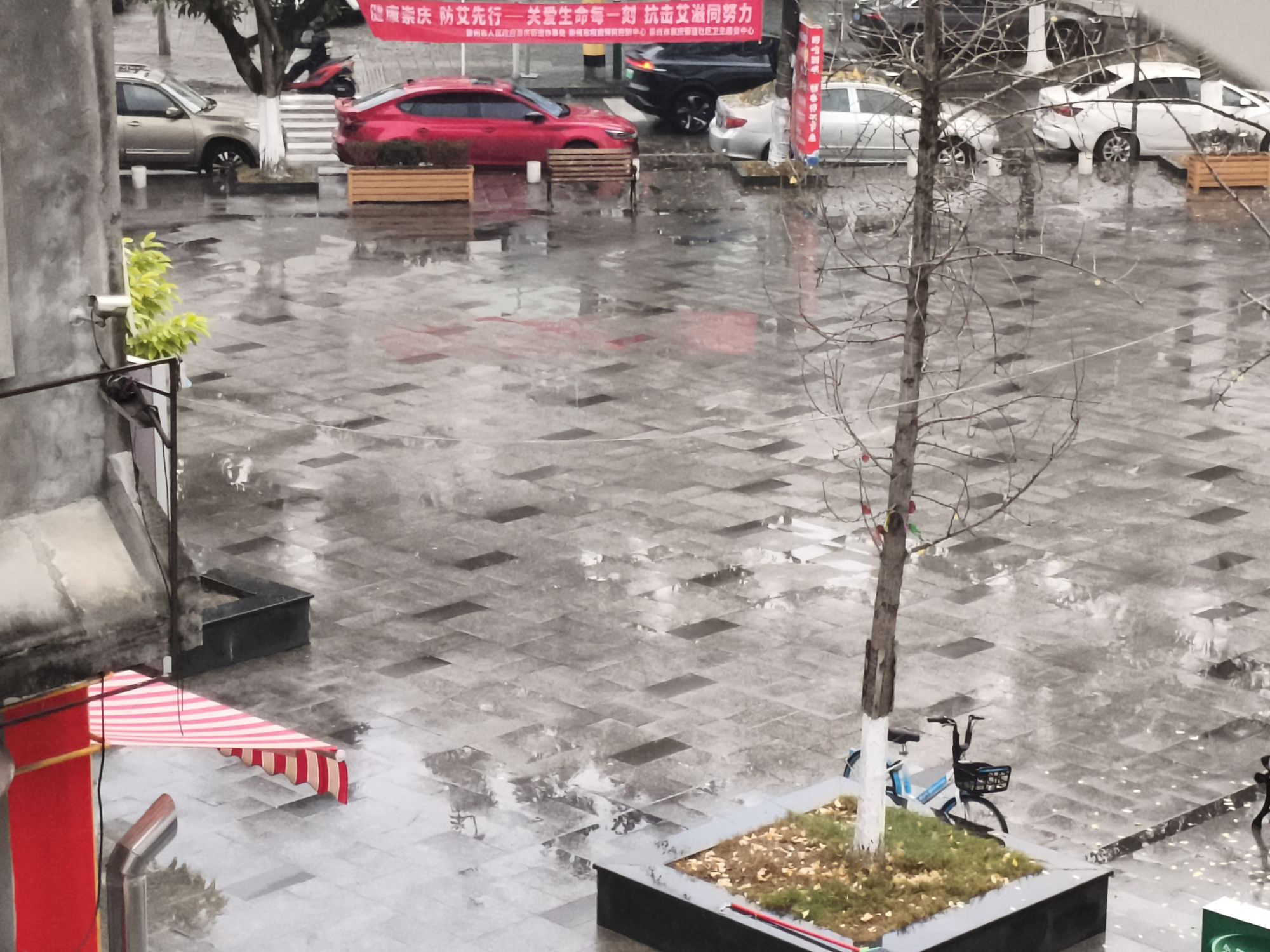 罗墩村广场旅行图片