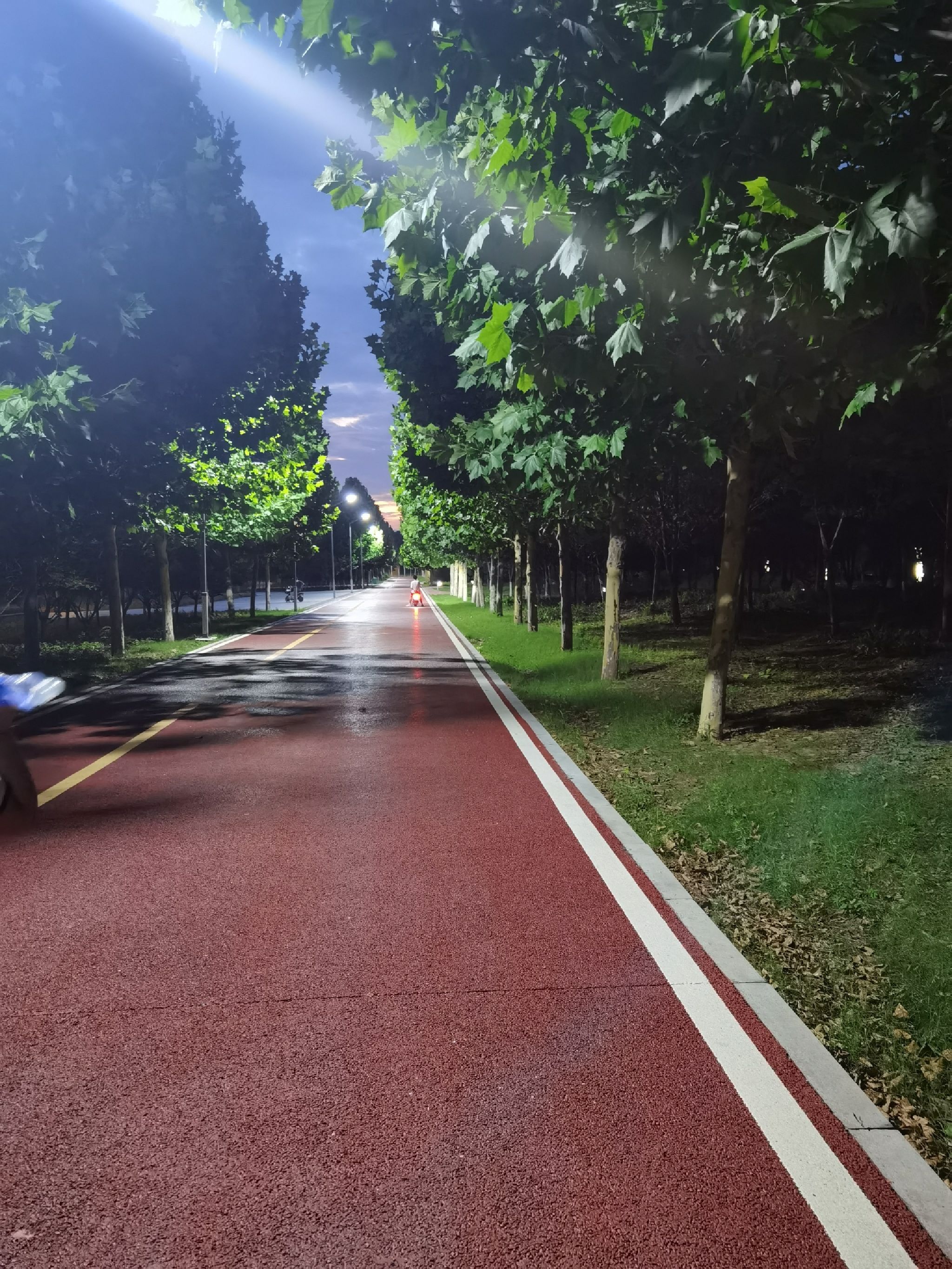 新蔡如意西湖公园
