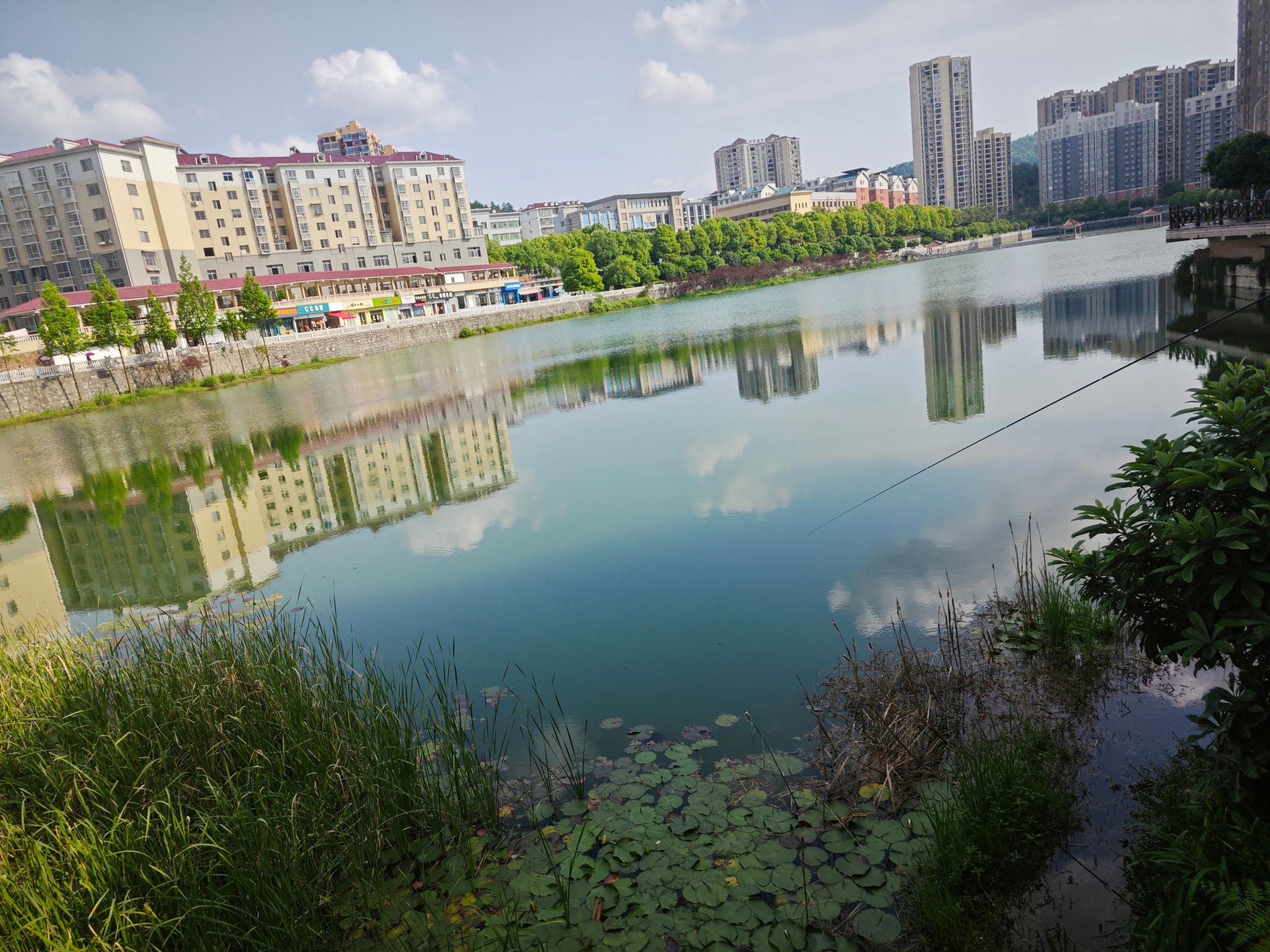 莲湖公园旅行图片