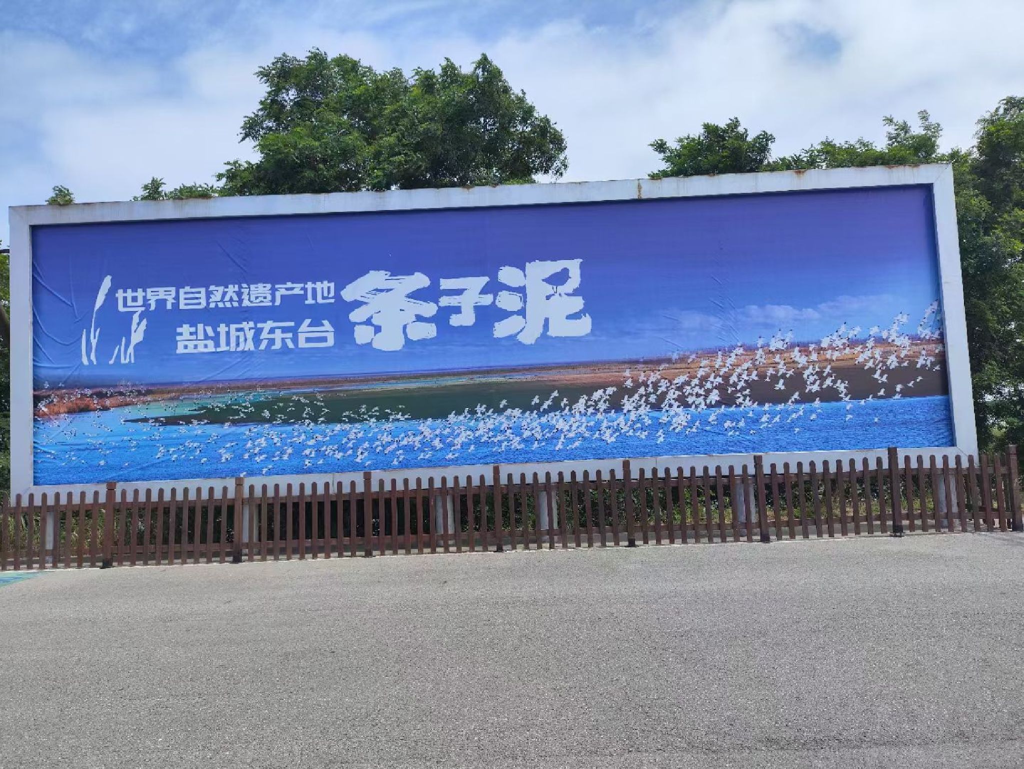 条子泥景区旅行图片