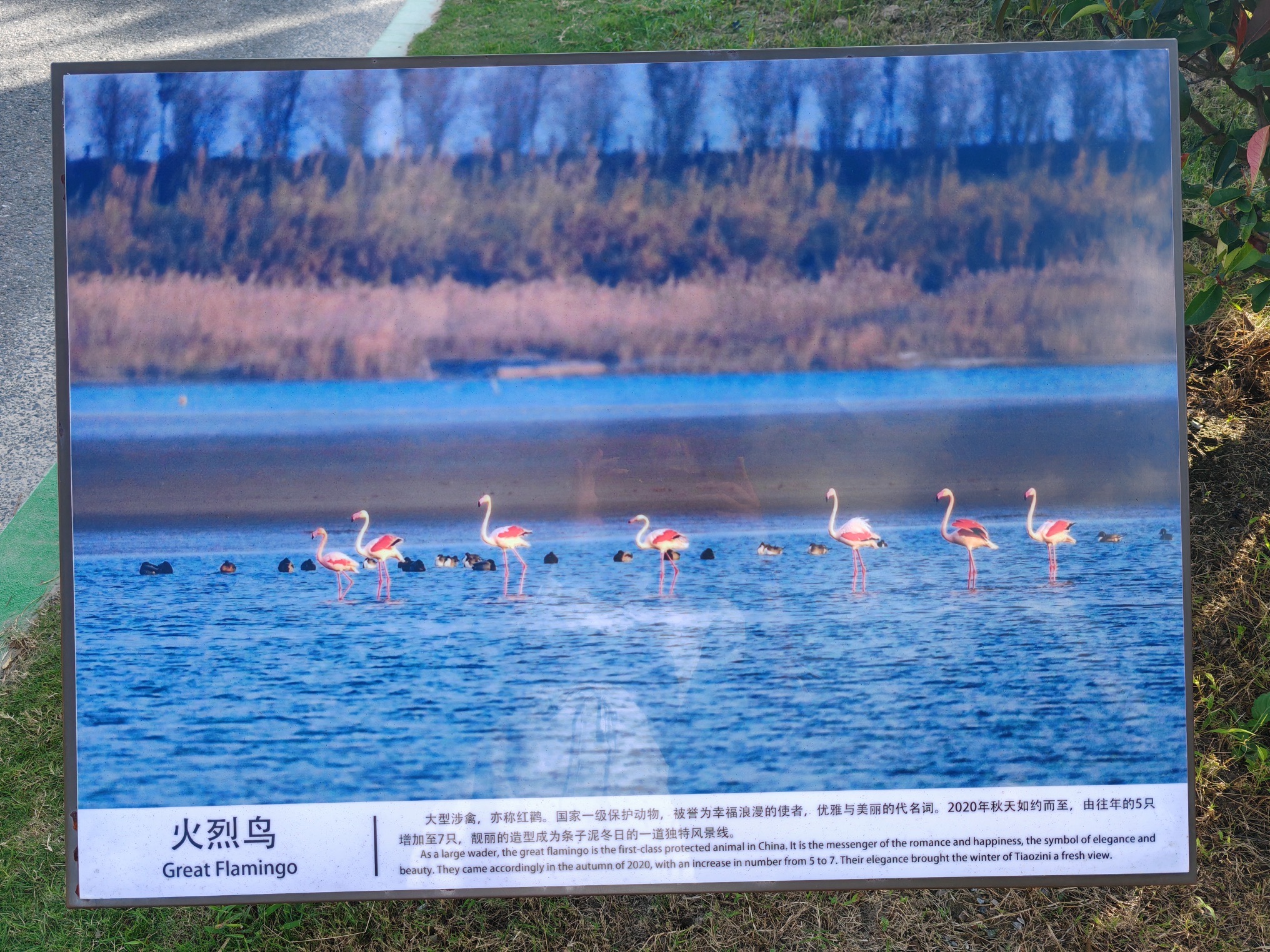 条子泥景区旅行图片