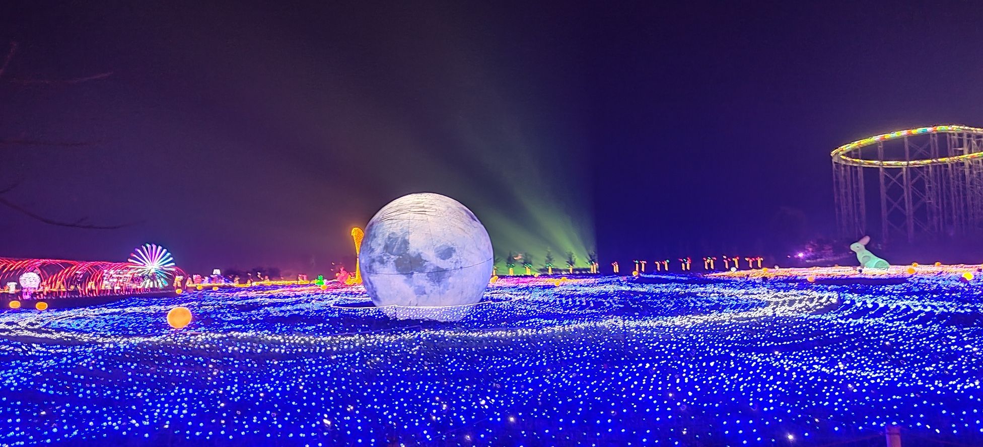 新枫林花海旅行图片