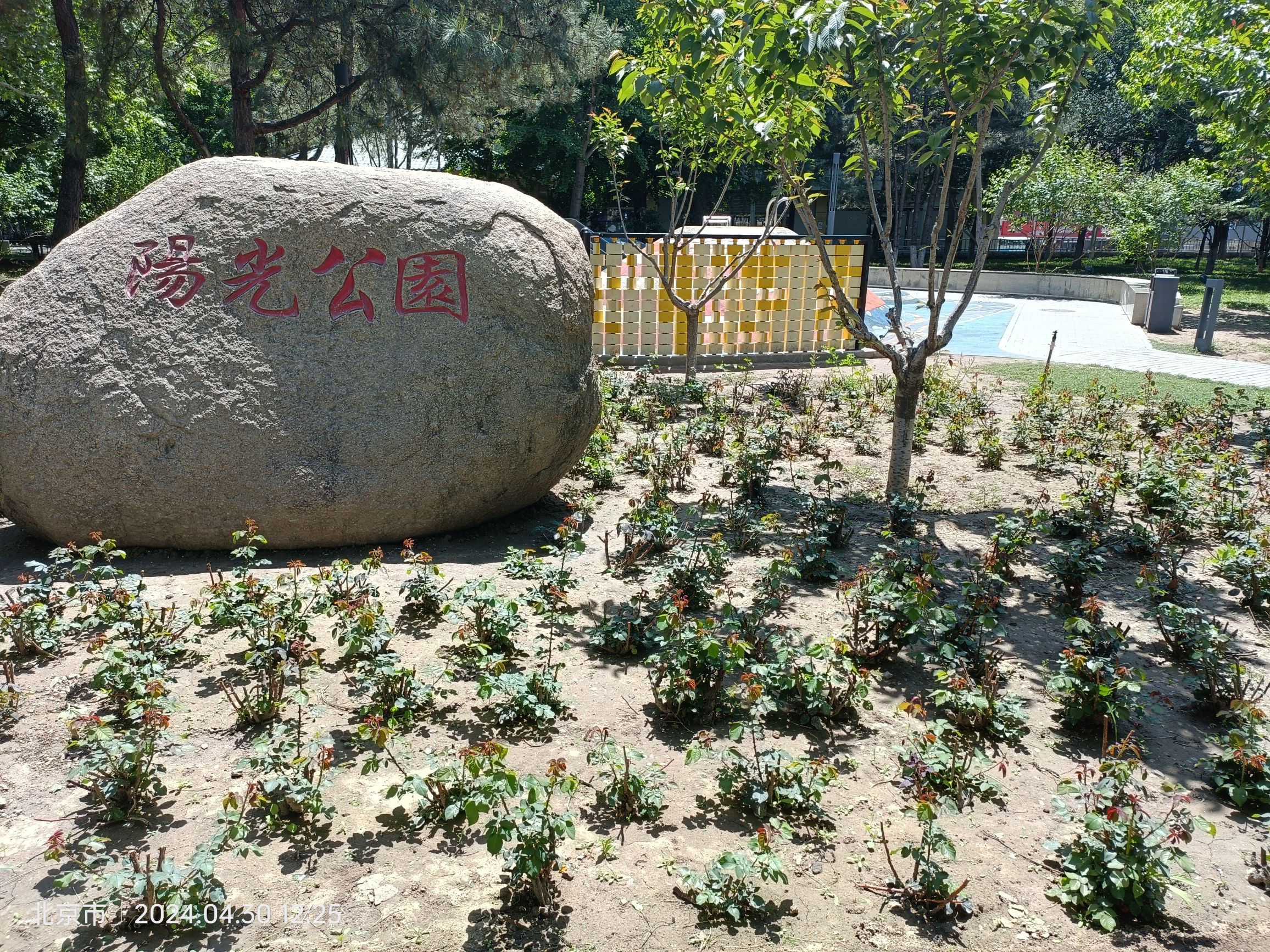 阳光公园