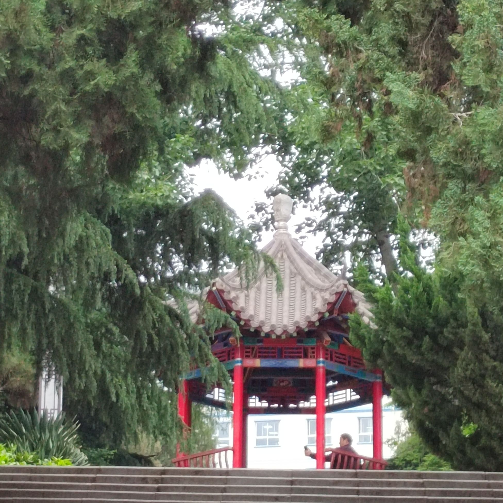 人民公园旅行图片