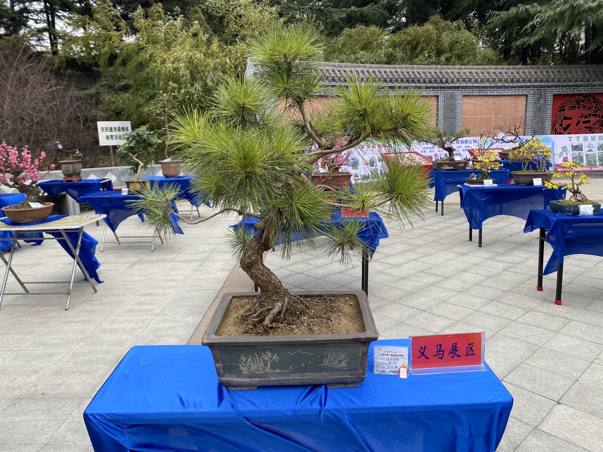 人民公园旅行图片