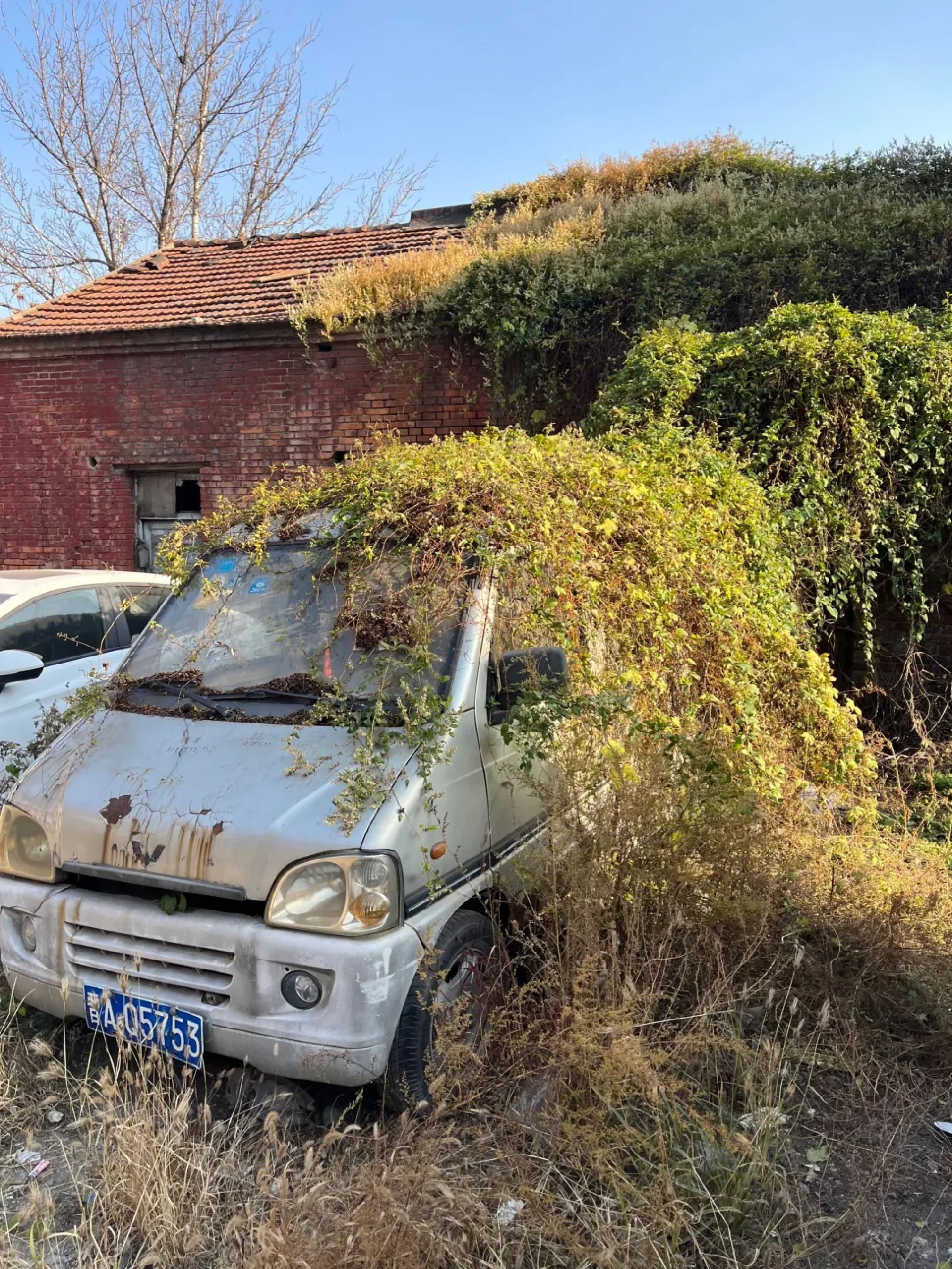 九院狼坡狮子崖生态景区旅行图片
