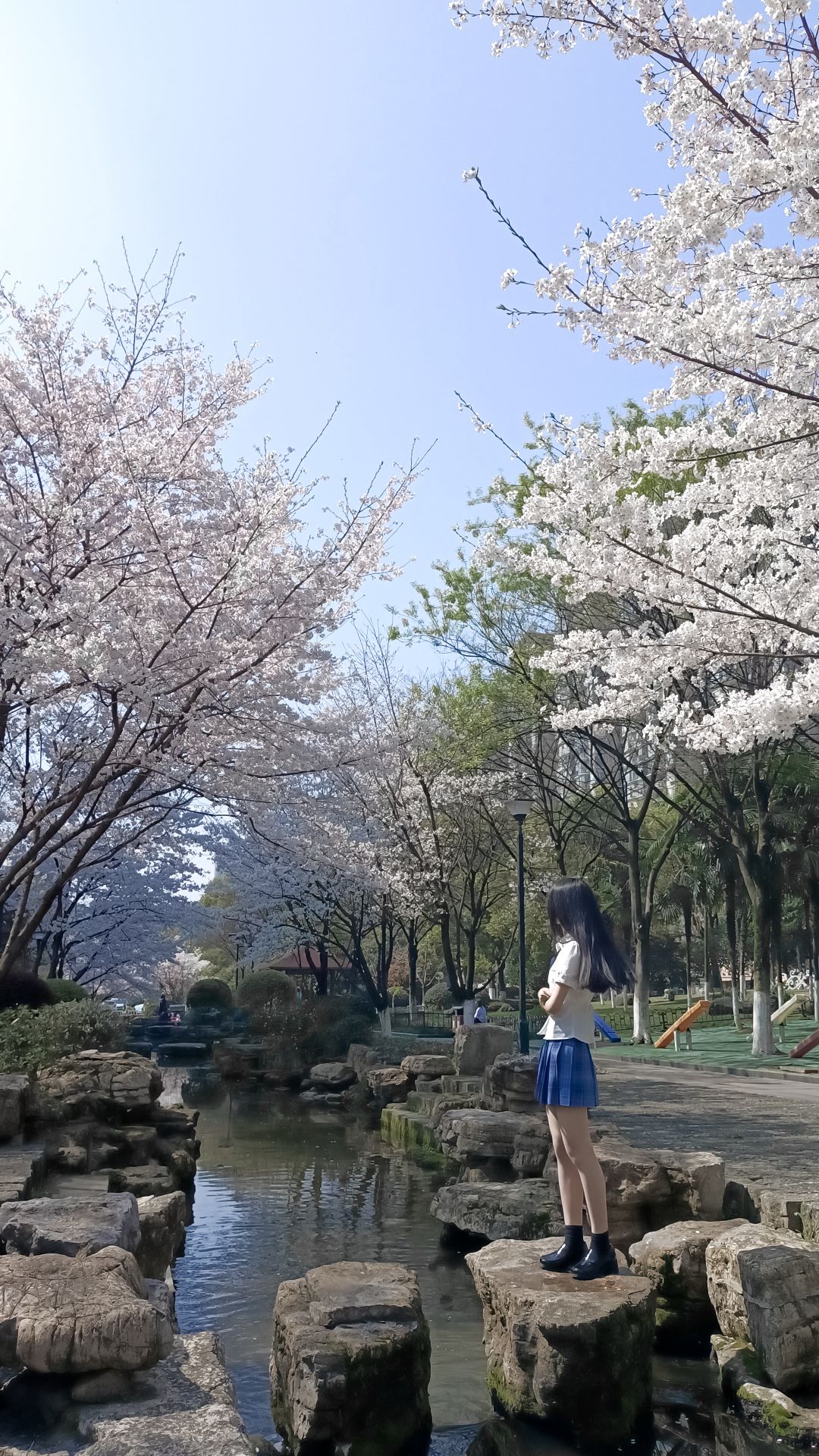 回溪公园旅行图片