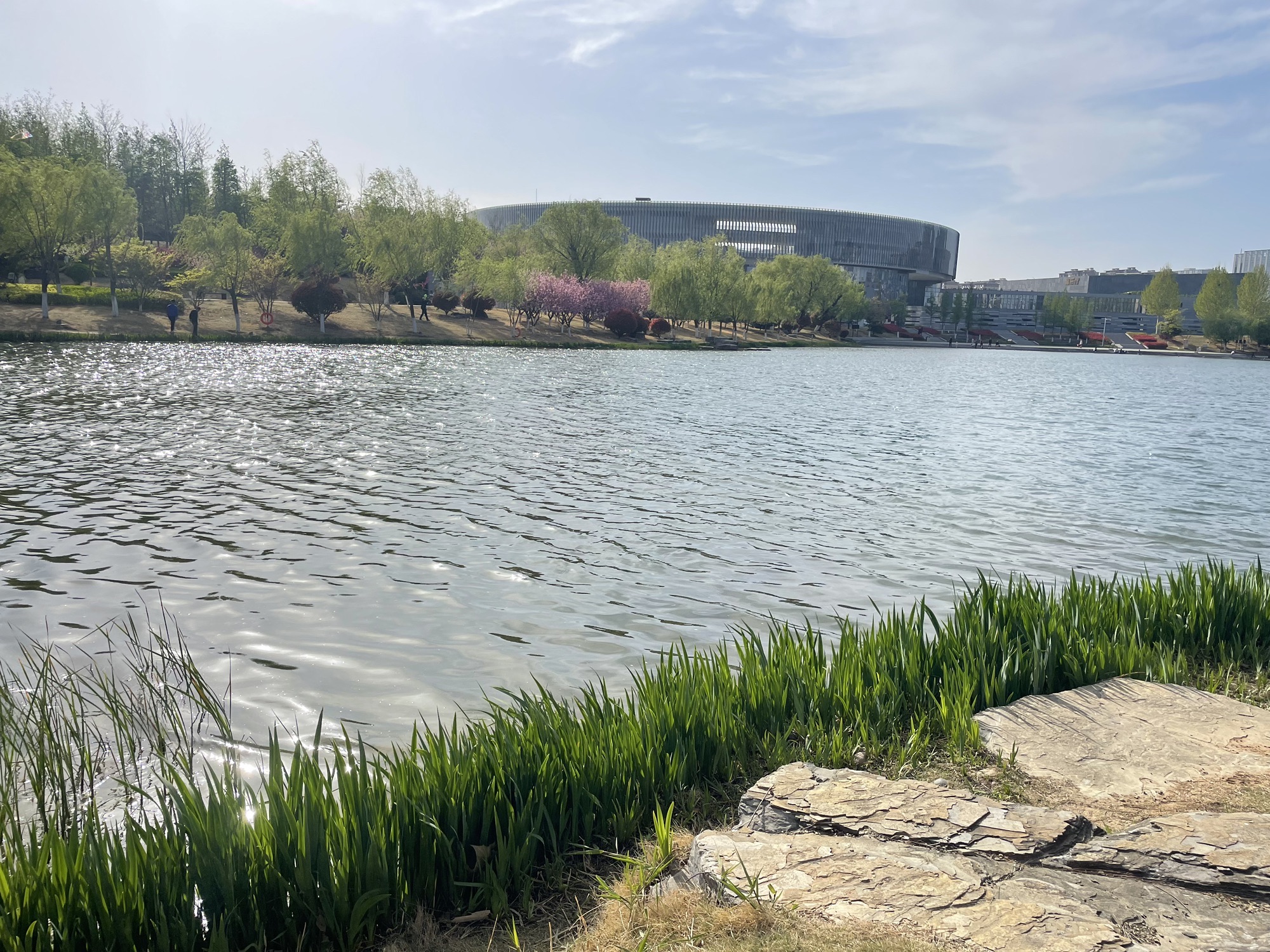龙泉湖公园